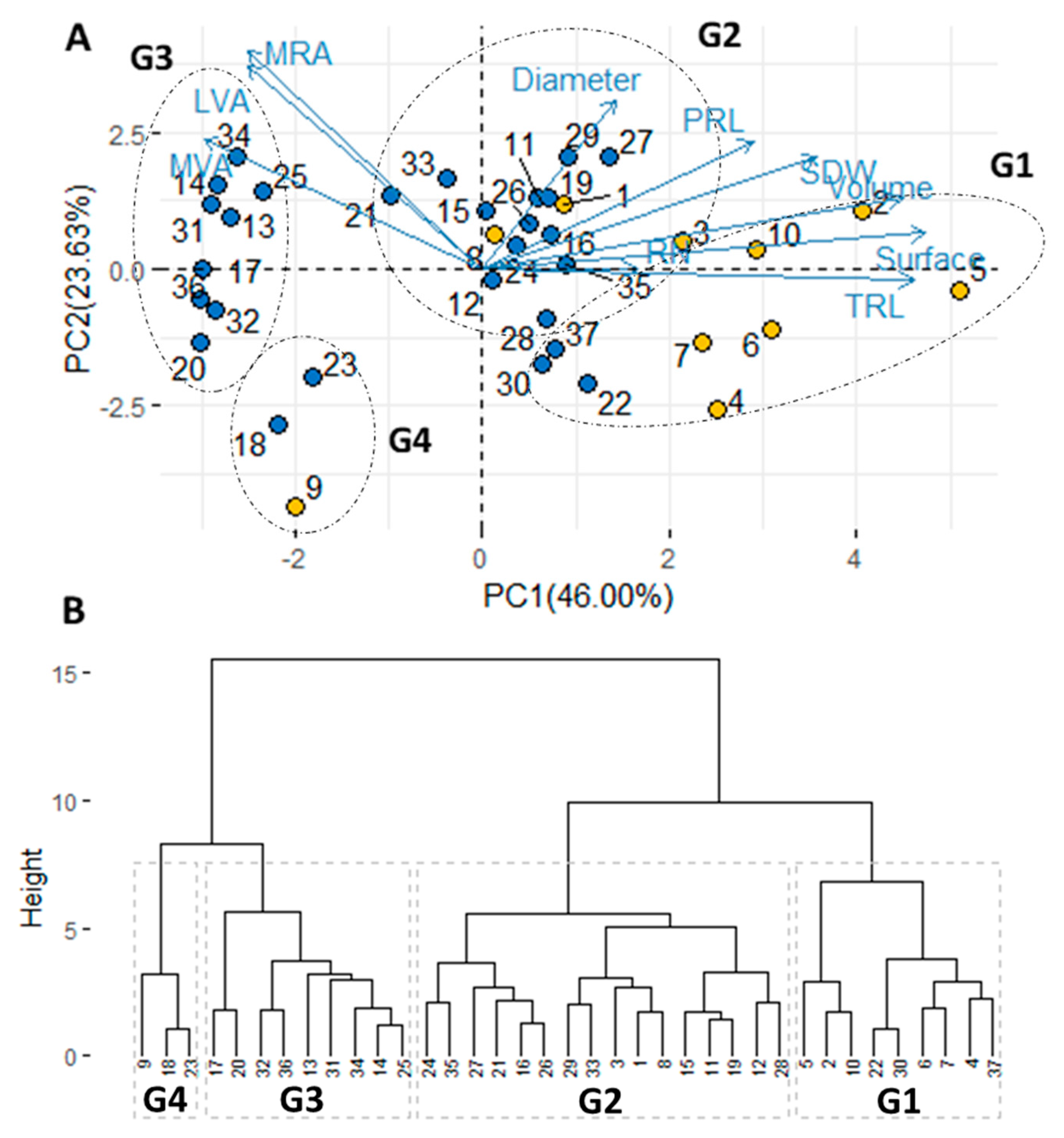 Agronomy 10 00713 g003