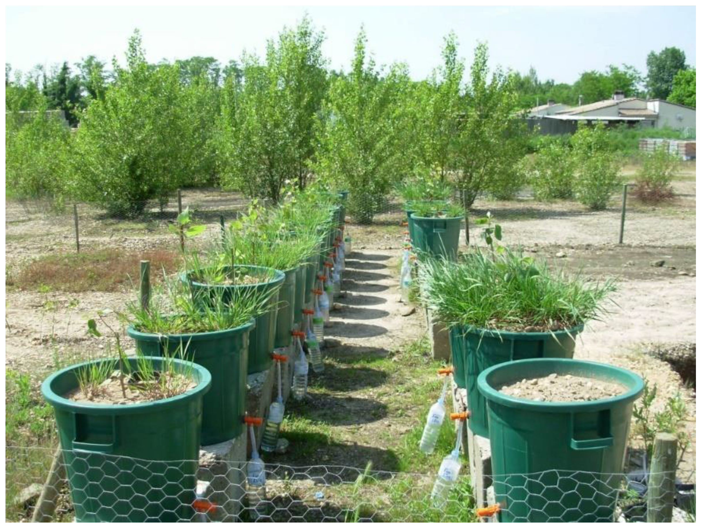 Agronomy 10 00719 g001