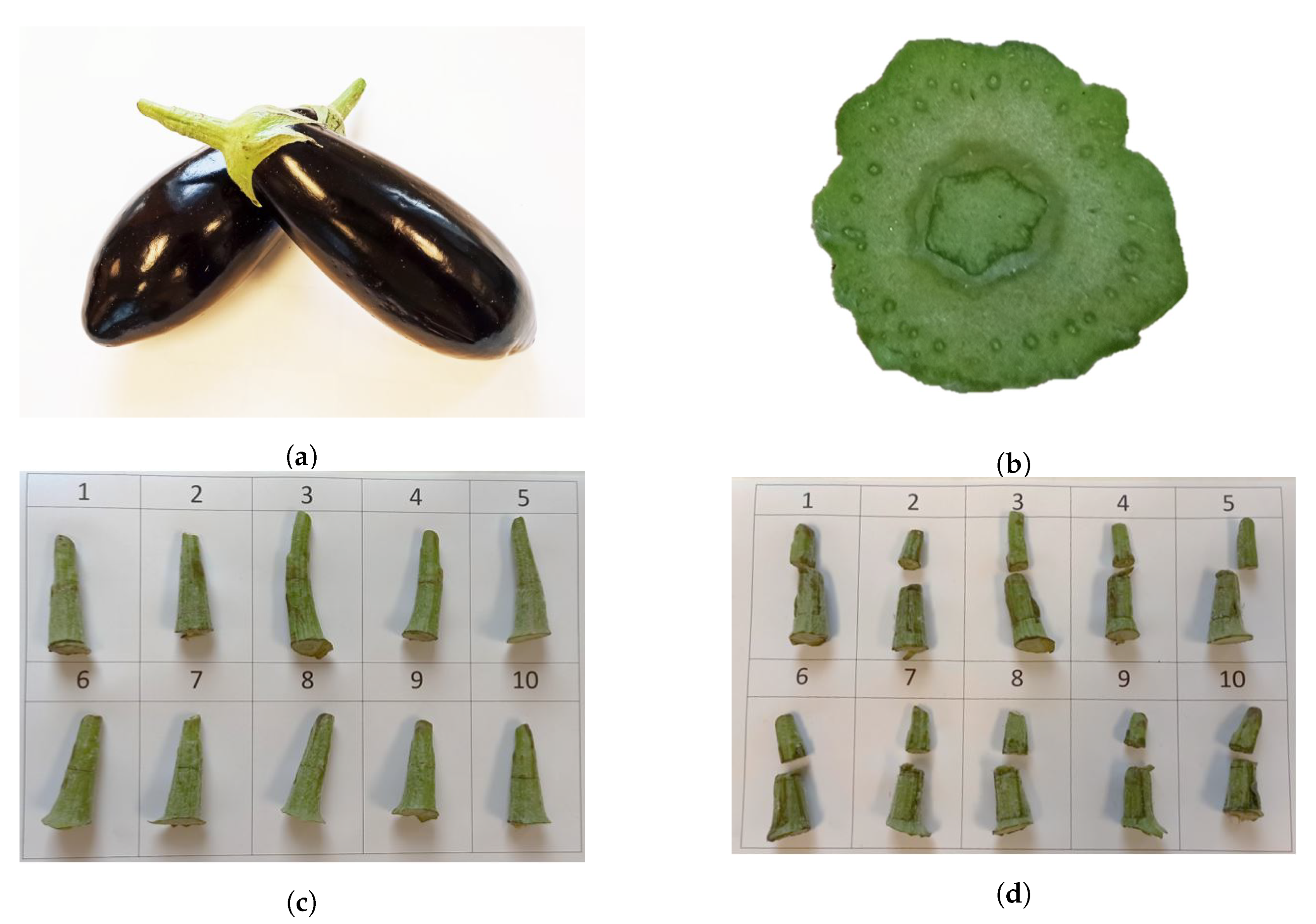 Agronomy 10 00734 g009 Agronomy 10 00734 g009