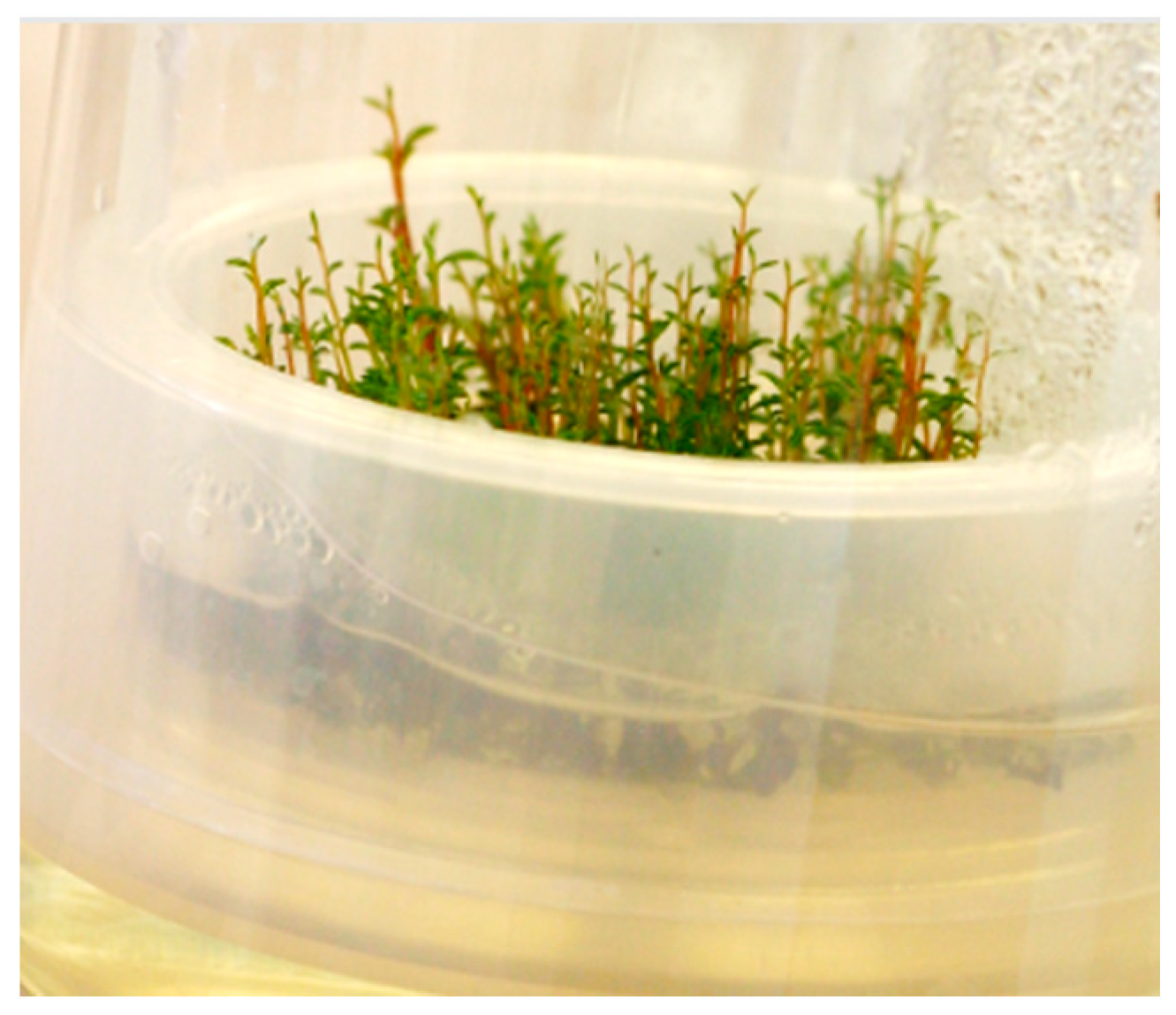 Agronomy 10 00744 g002 Agronomy 10 00744 g002