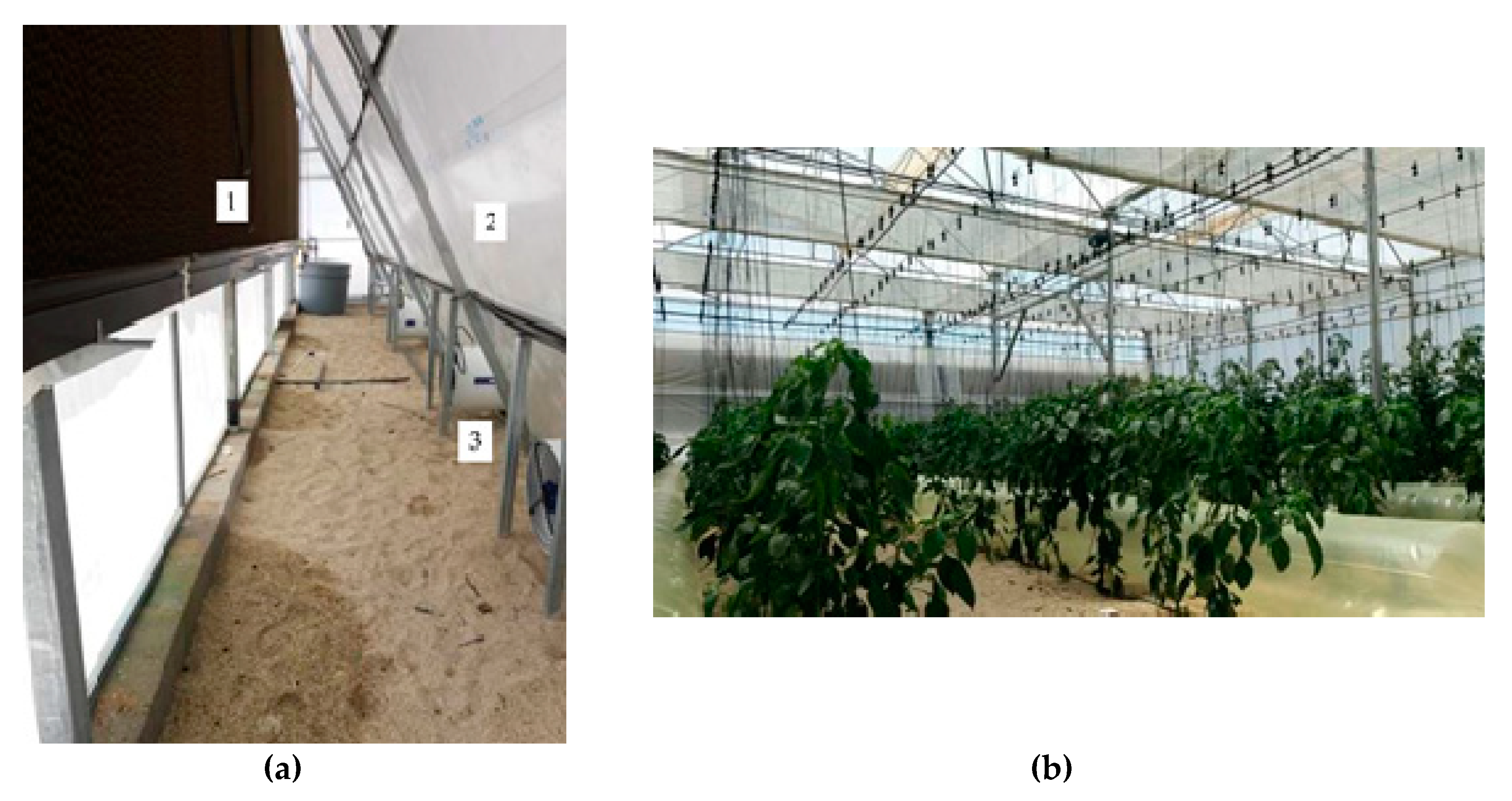 Agronomy 10 00752 g002 Agronomy 10 00752 g002