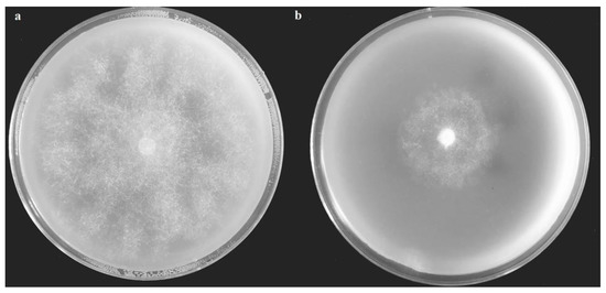 Agronomy 10 00770 g0a1