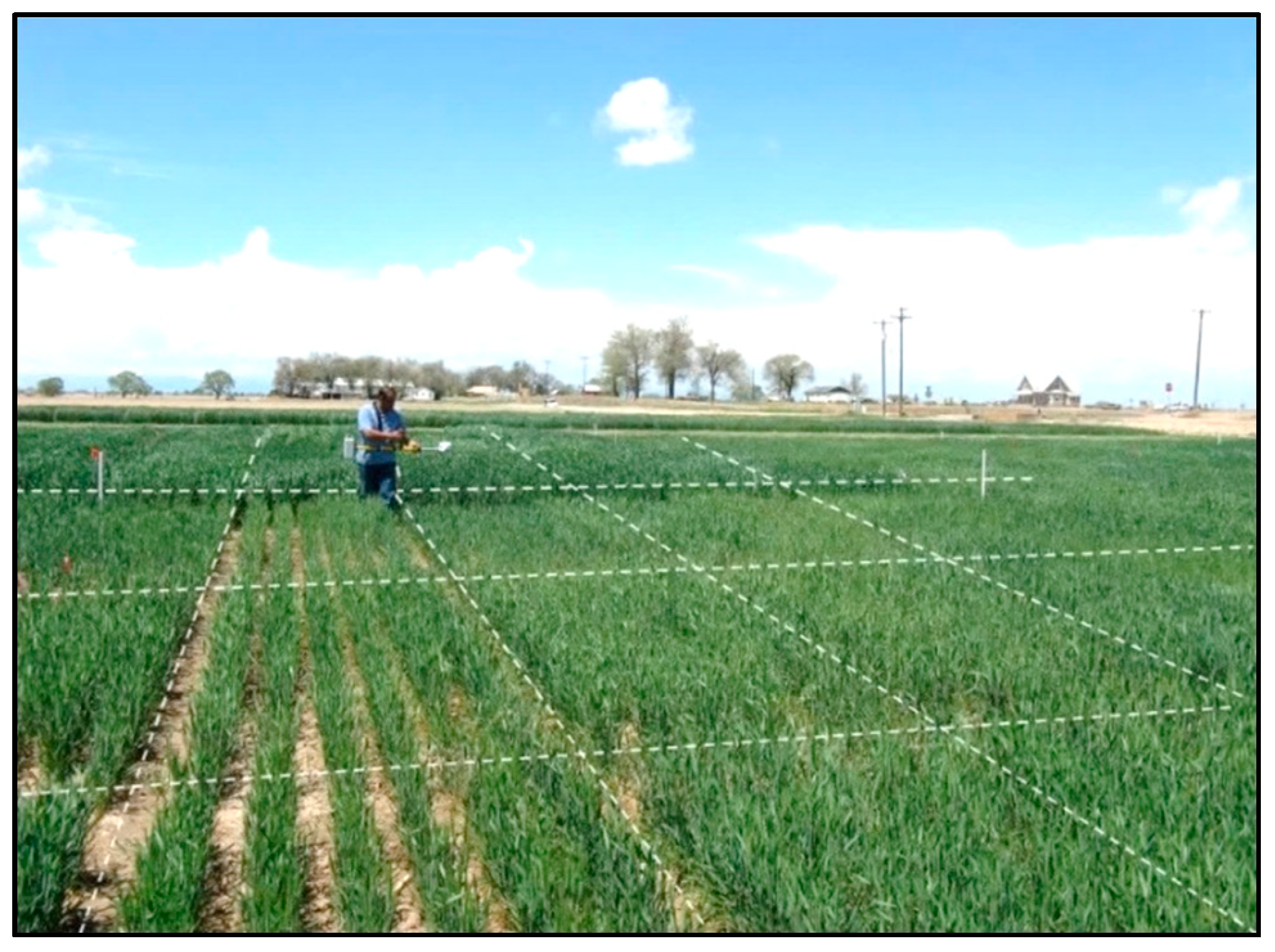 Agronomy 10 00773 g001