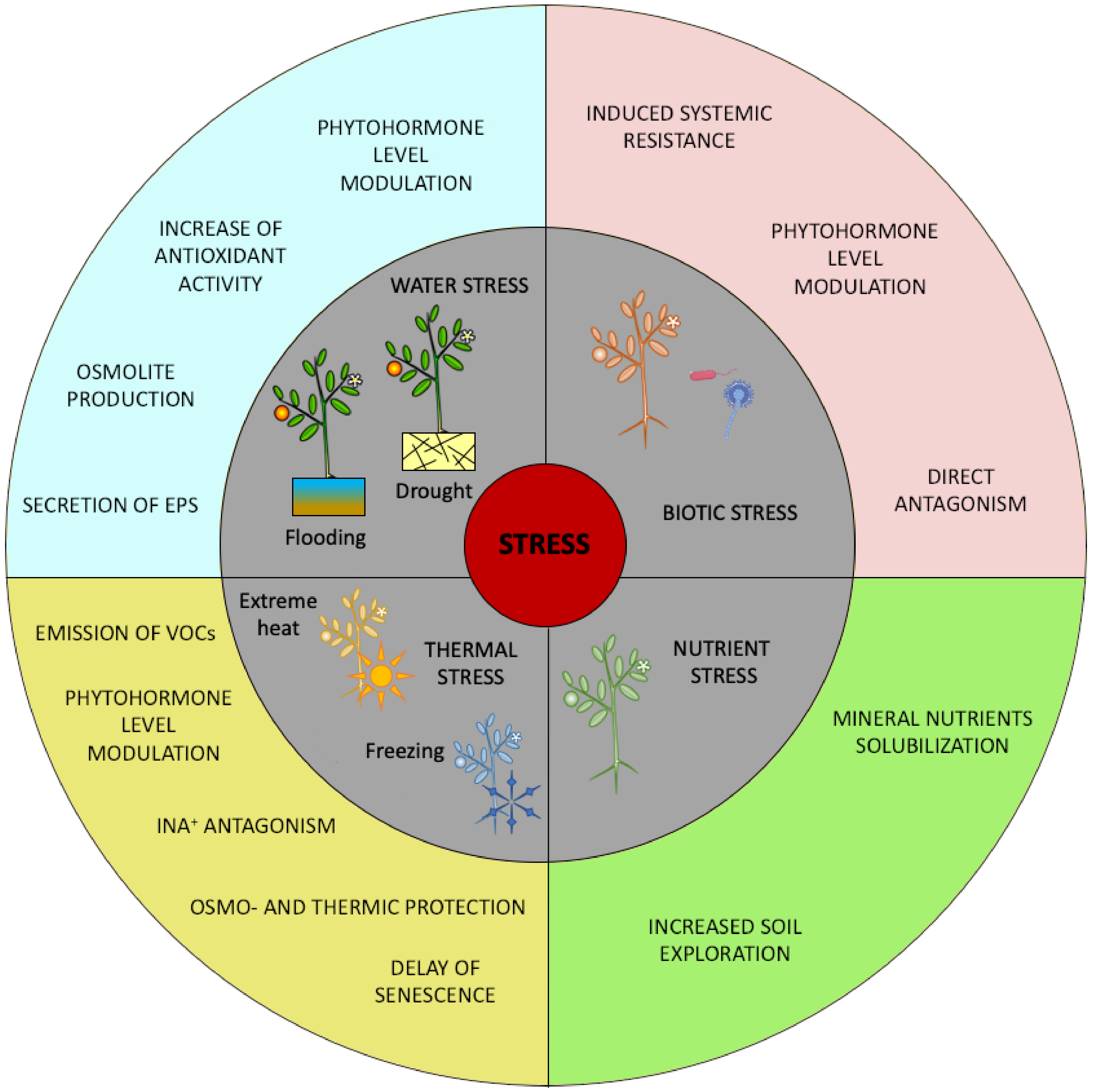 Agronomy 10 00794 g001 Agronomy 10 00794 g001