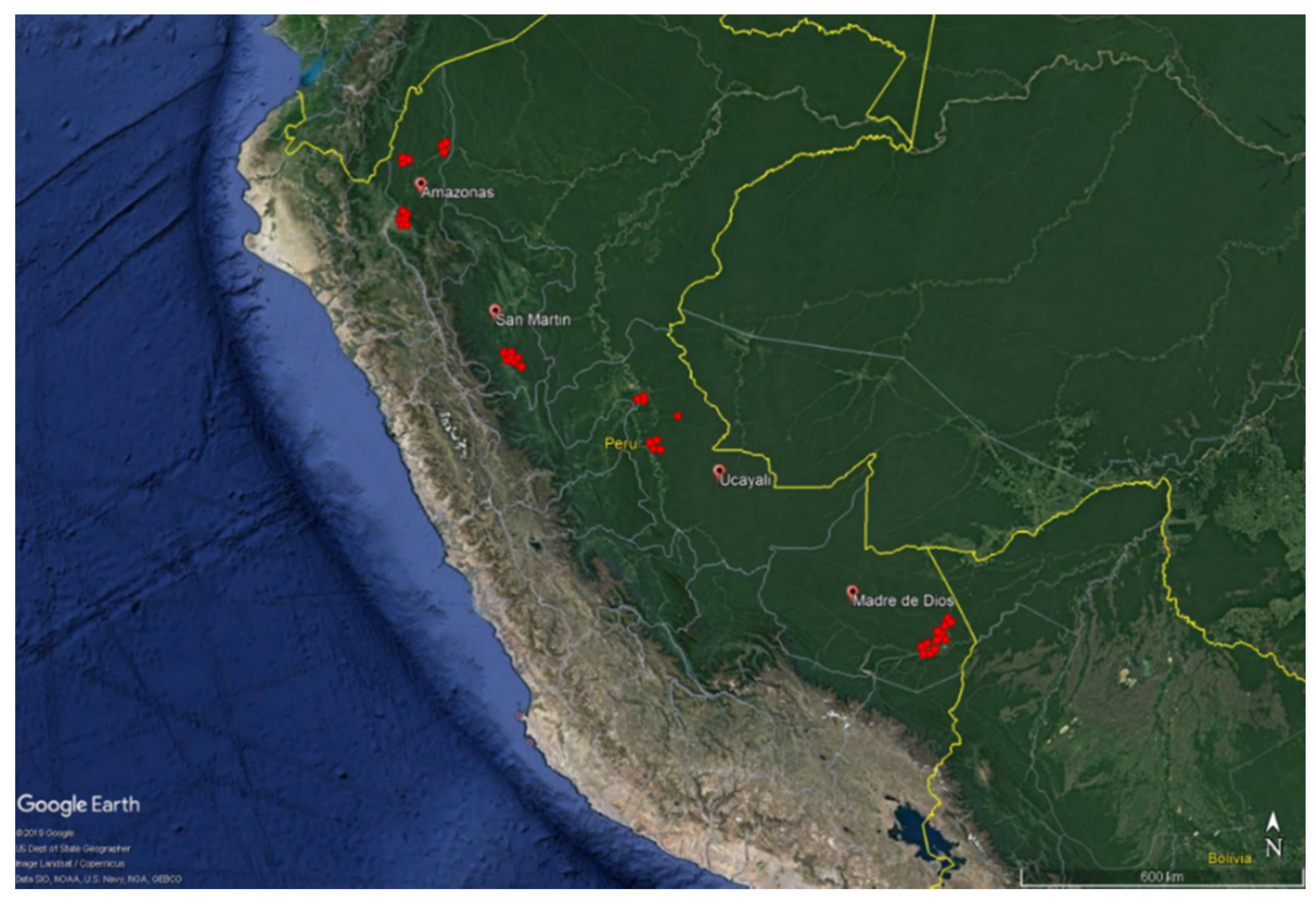 Agronomy 10 00806 g001