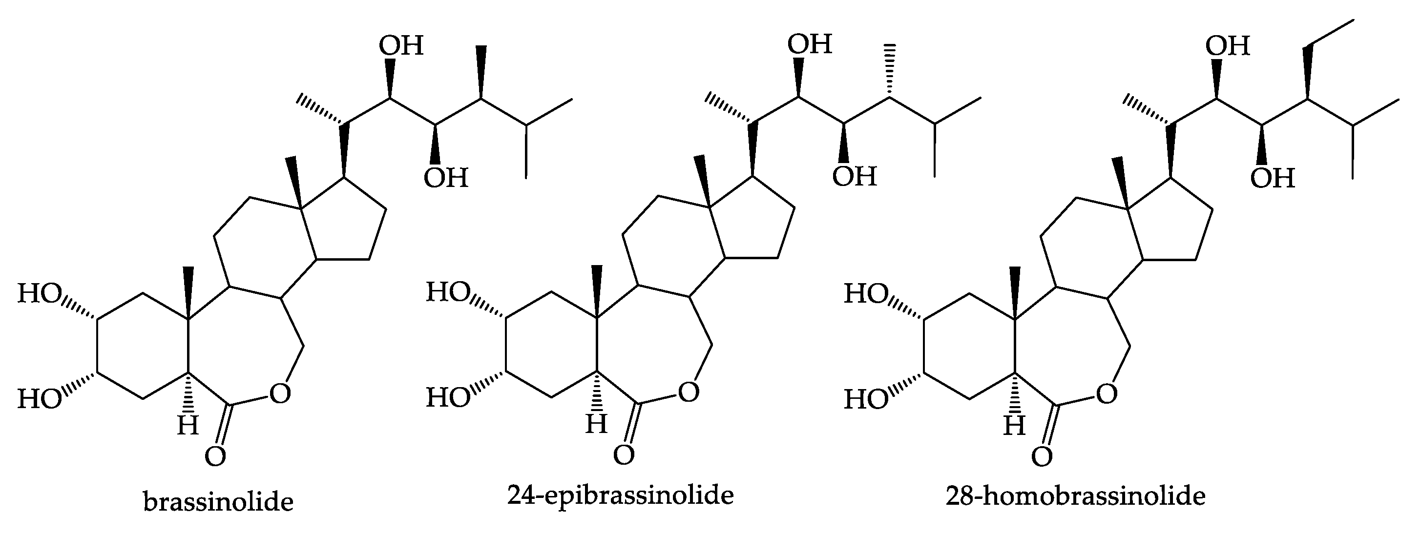 Agronomy 10 00808 g001 Agronomy 10 00808 g001
