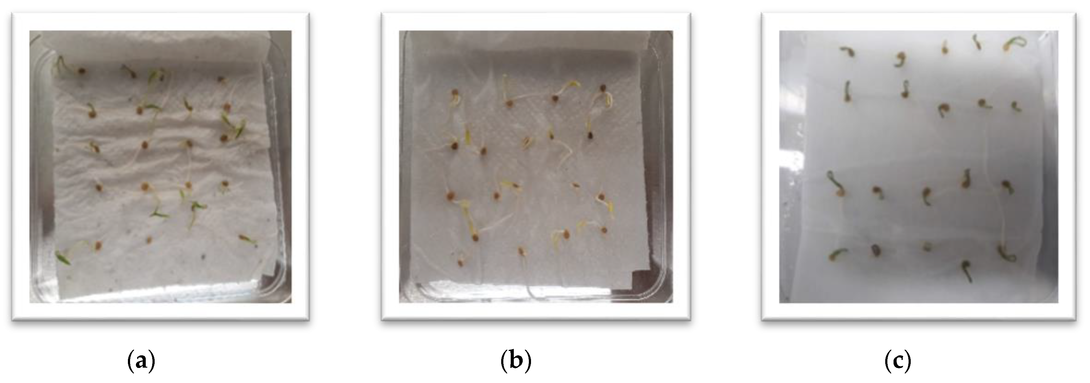 Agronomy 10 00808 g004 Agronomy 10 00808 g004