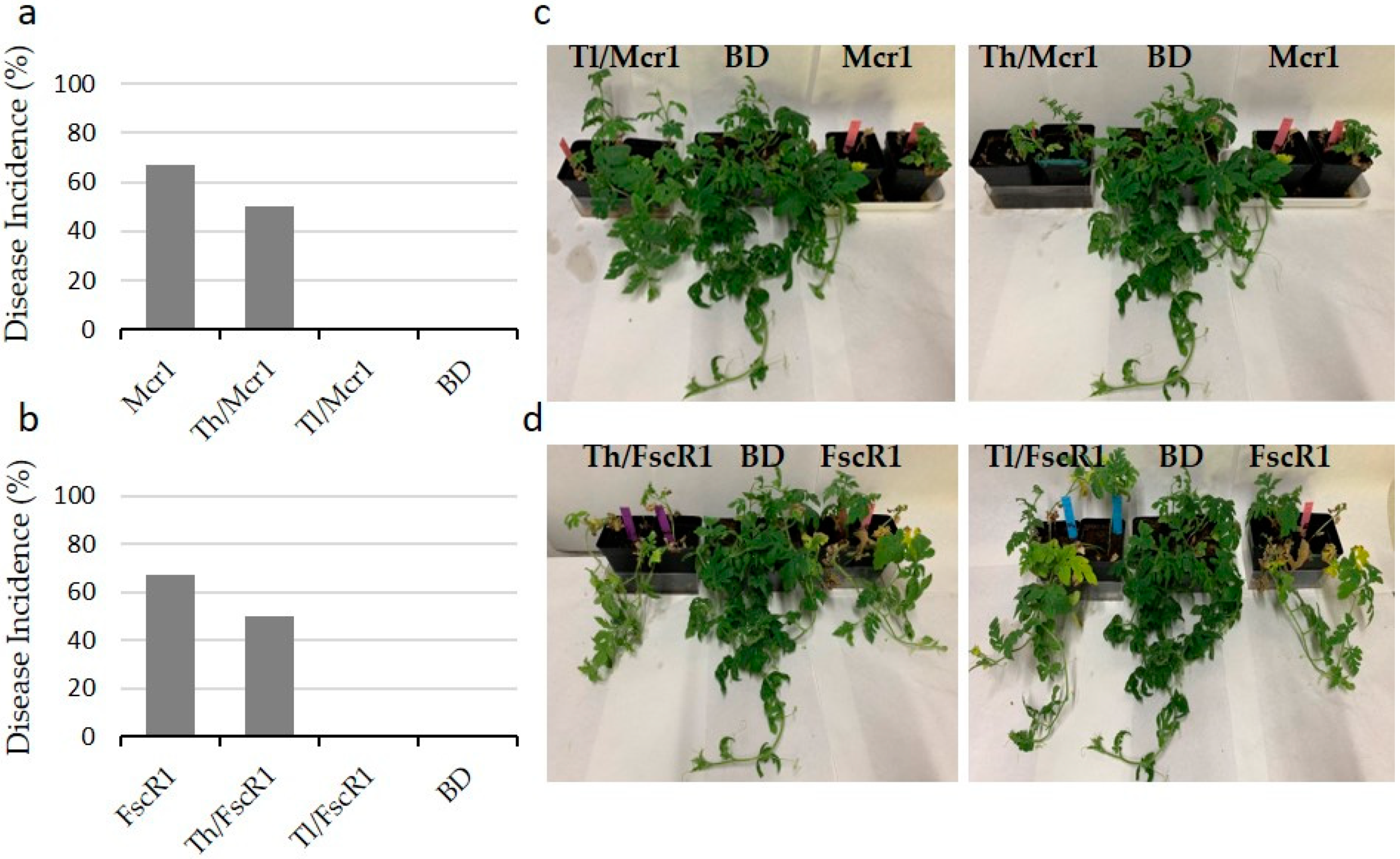 Agronomy 10 00820 g005 Agronomy 10 00820 g005