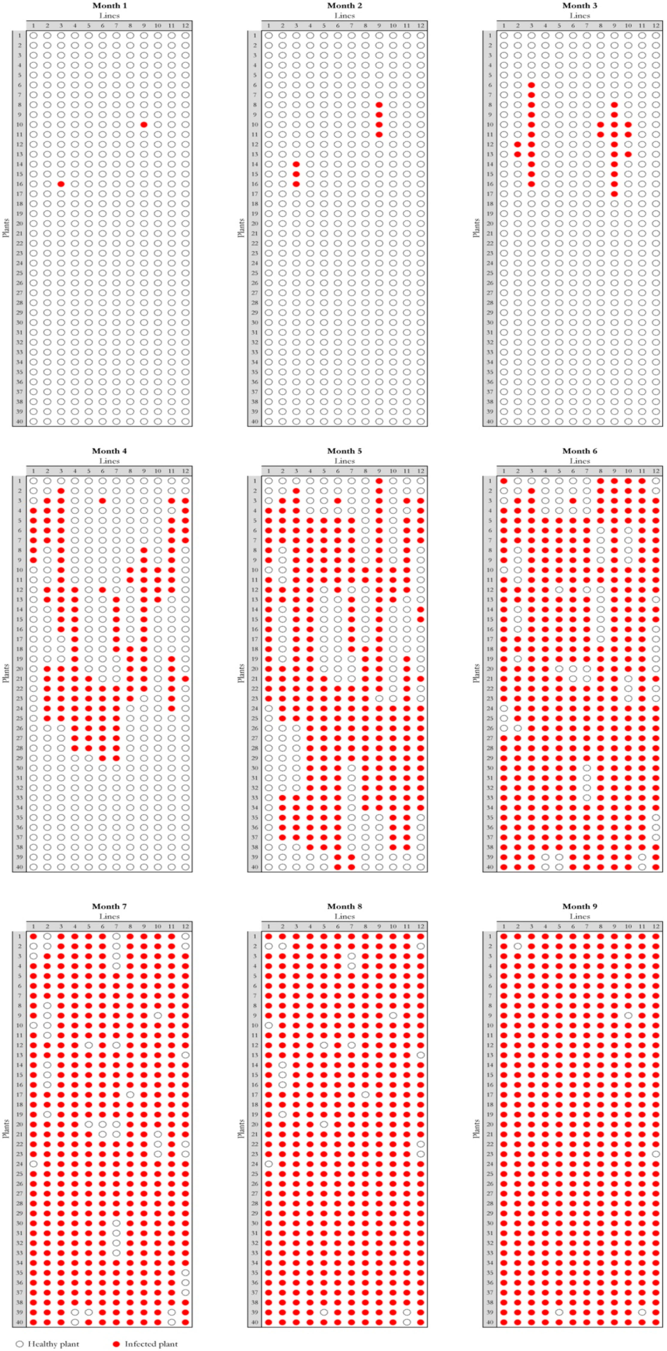 Agronomy 10 00834 g005 Agronomy 10 00834 g005