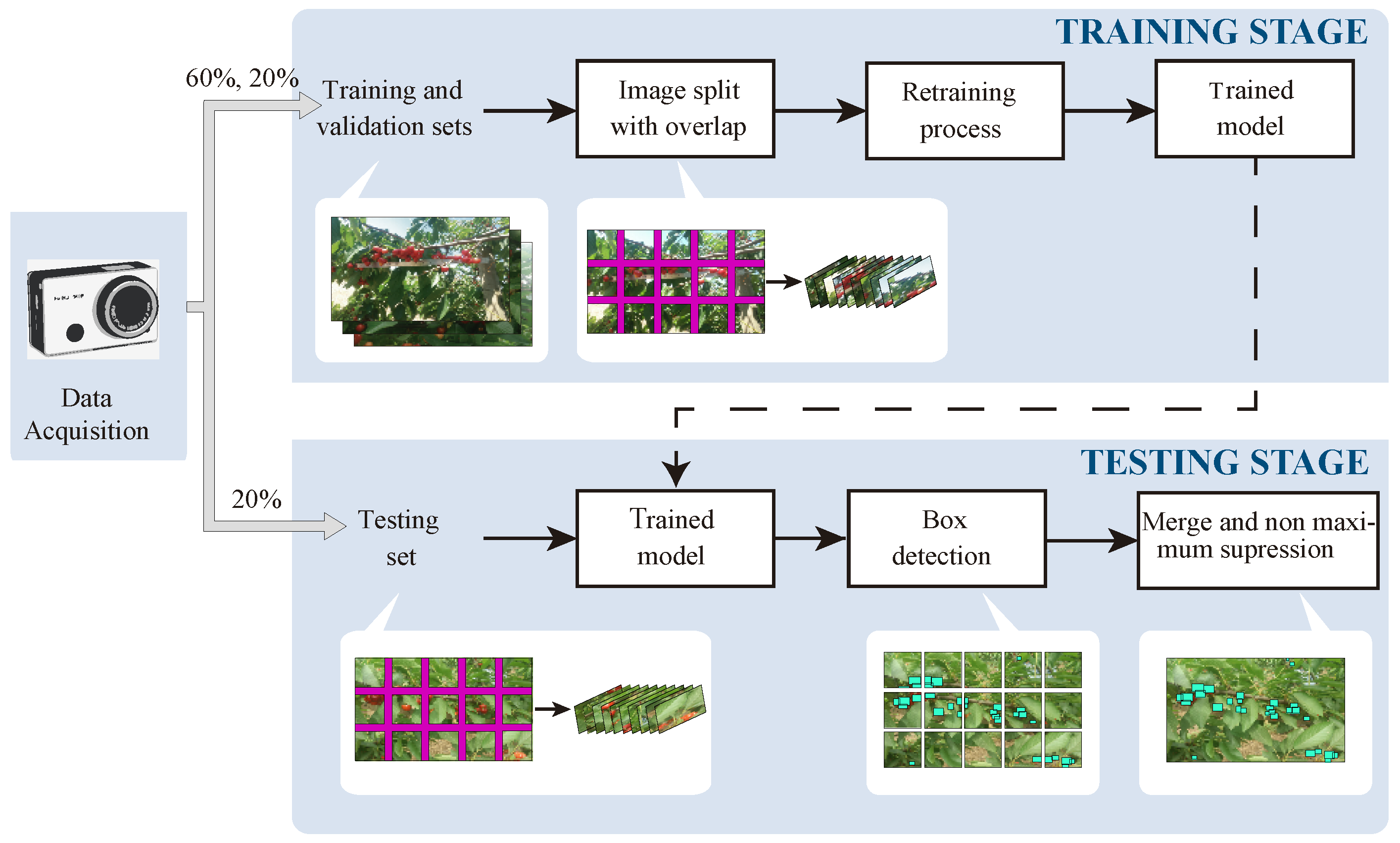 Agronomy 10 00835 g001 Agronomy 10 00835 g001