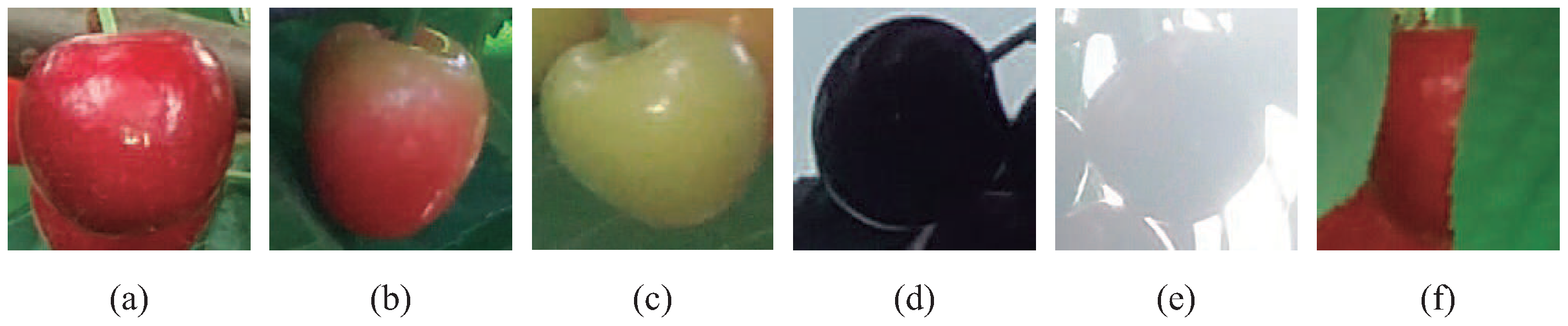 Agronomy 10 00835 g003 Agronomy 10 00835 g003