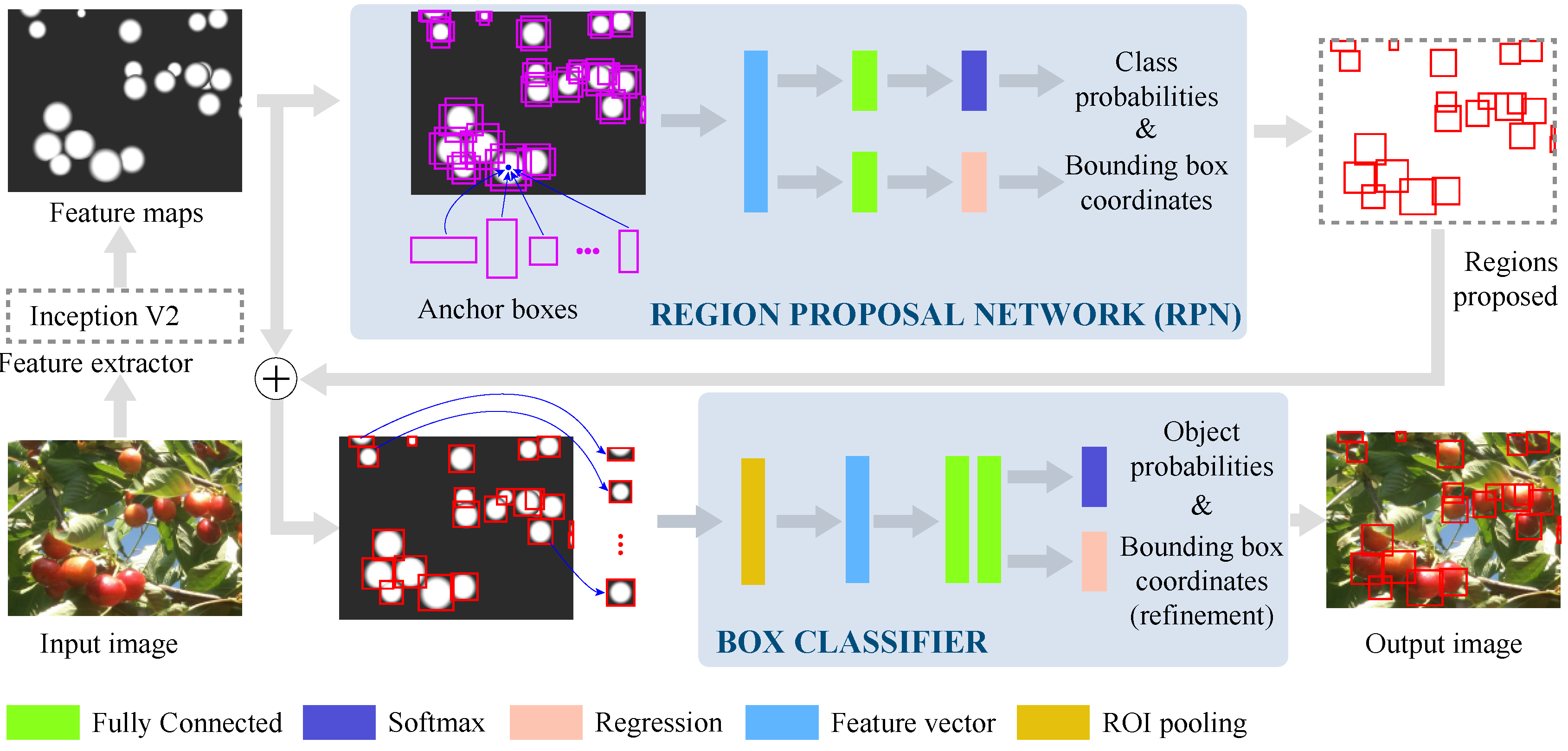 Agronomy 10 00835 g004 Agronomy 10 00835 g004