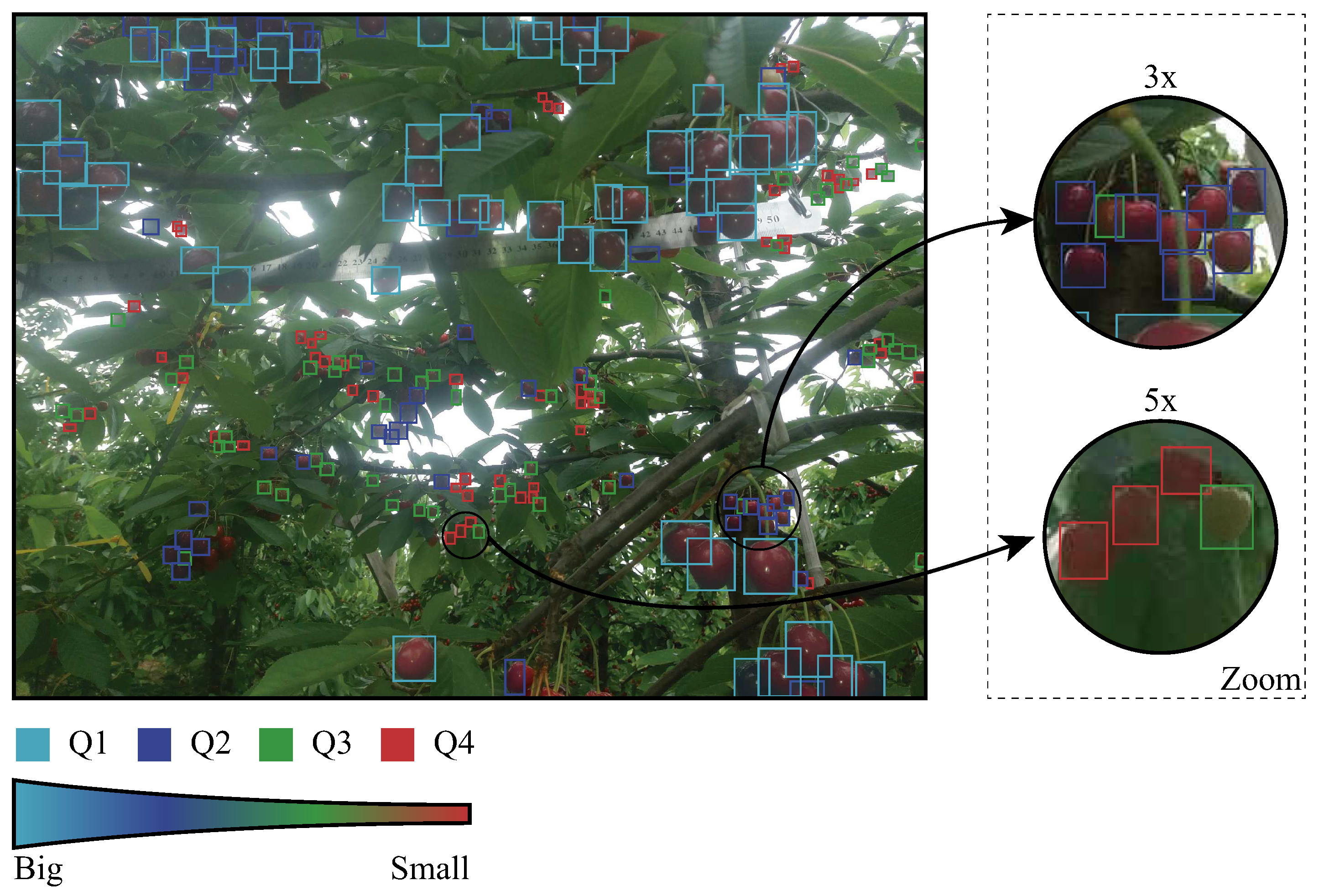 Agronomy 10 00835 g007 Agronomy 10 00835 g007