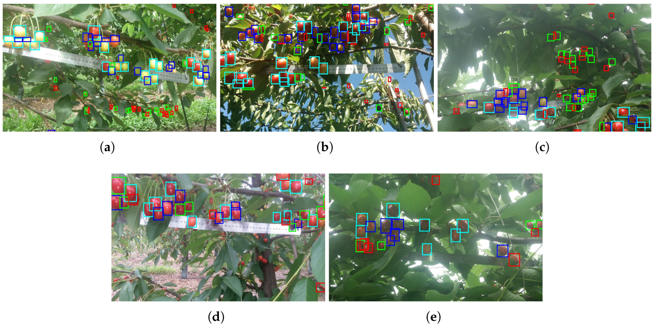 Agronomy 10 00835 g008 Agronomy 10 00835 g008
