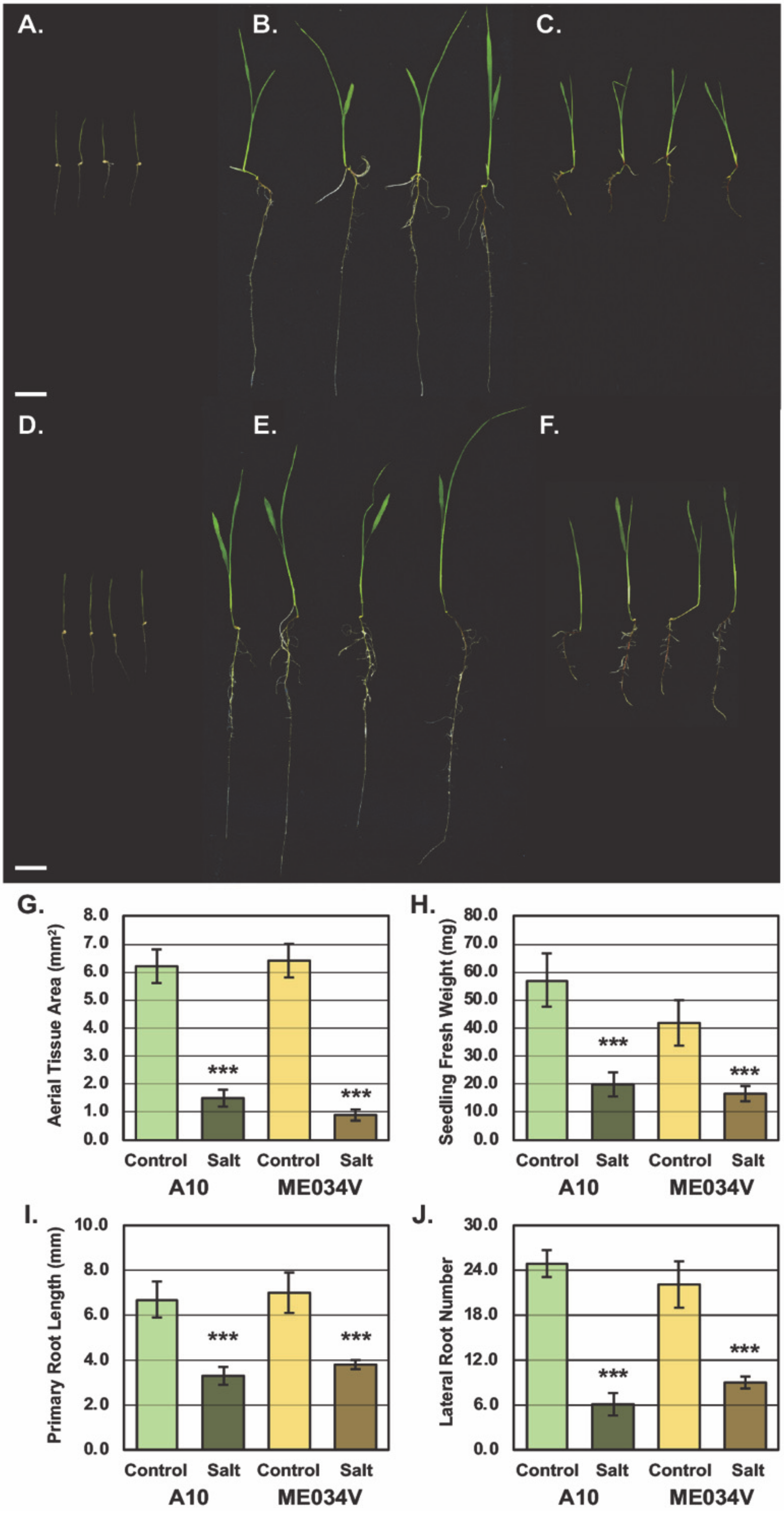 Agronomy 10 00837 g001 Agronomy 10 00837 g001