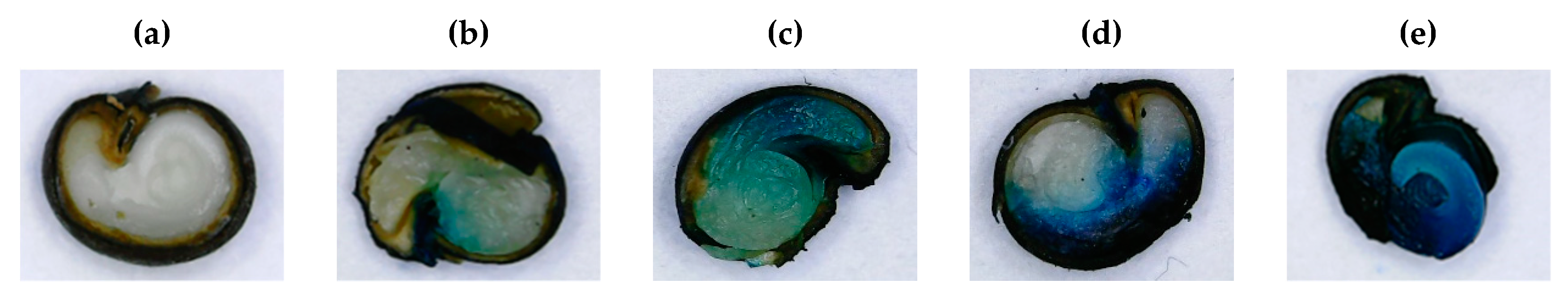 Agronomy 10 00838 g003