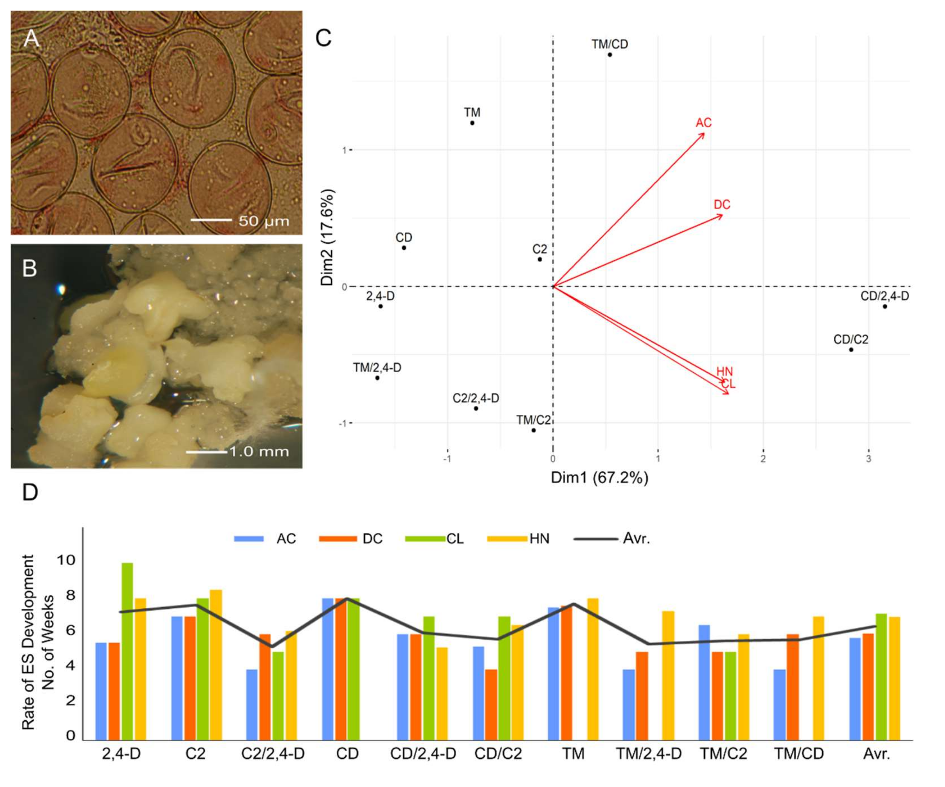 Agronomy 10 00839 g001