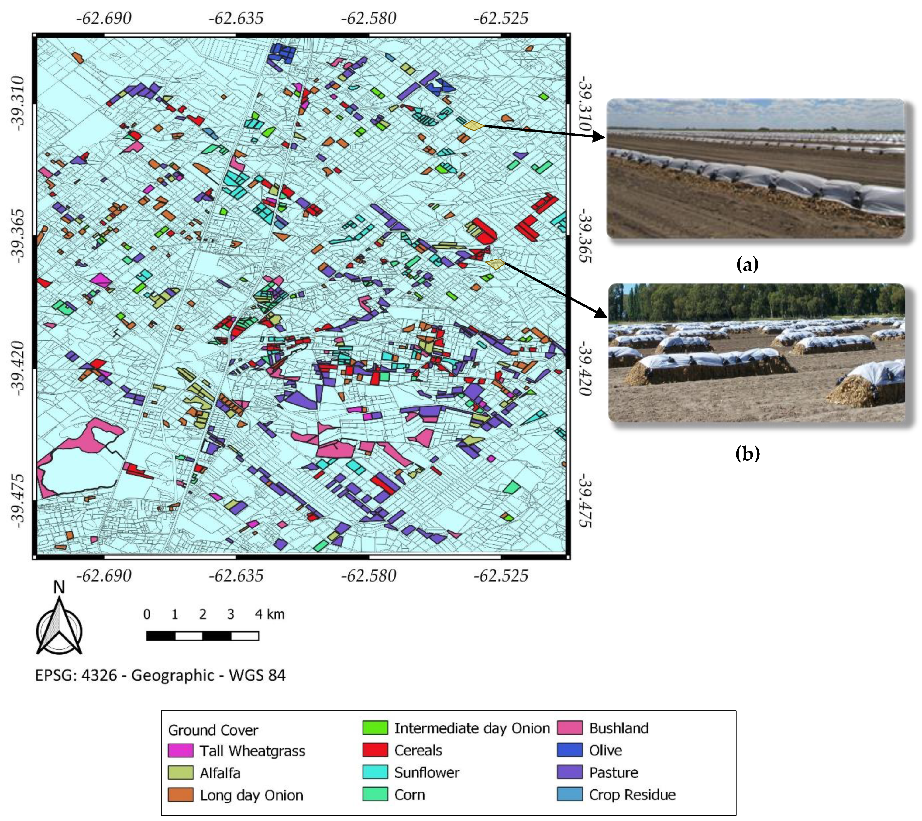Agronomy 10 00845 g006