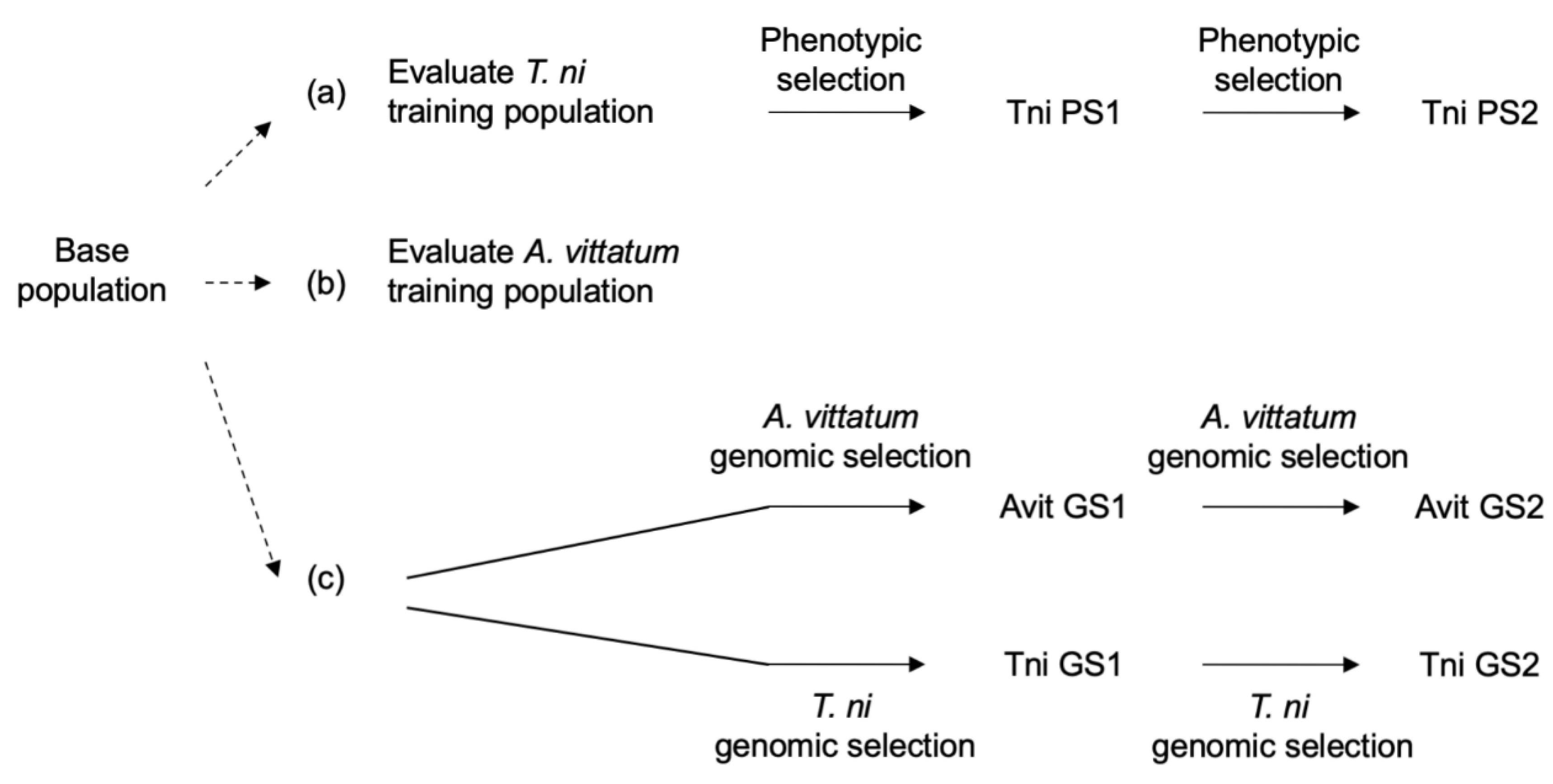 Agronomy 10 00847 g001
