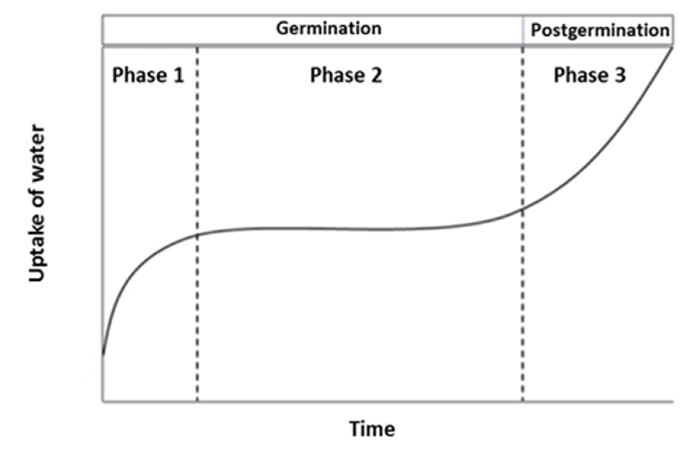 Agronomy 10 00863 g006 Agronomy 10 00863 g006