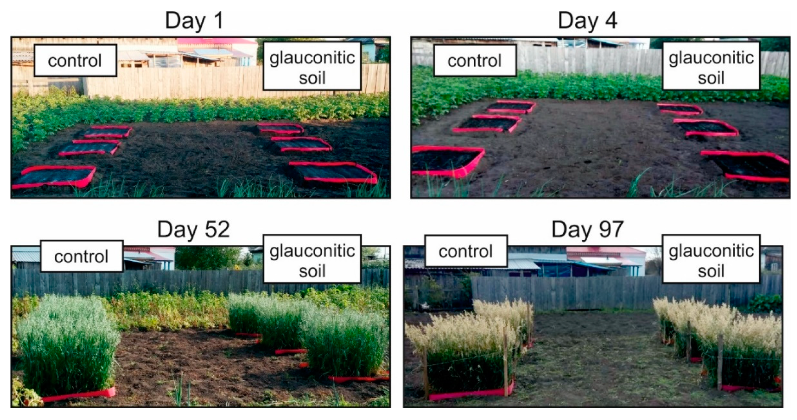 Agronomy 10 00872 g001