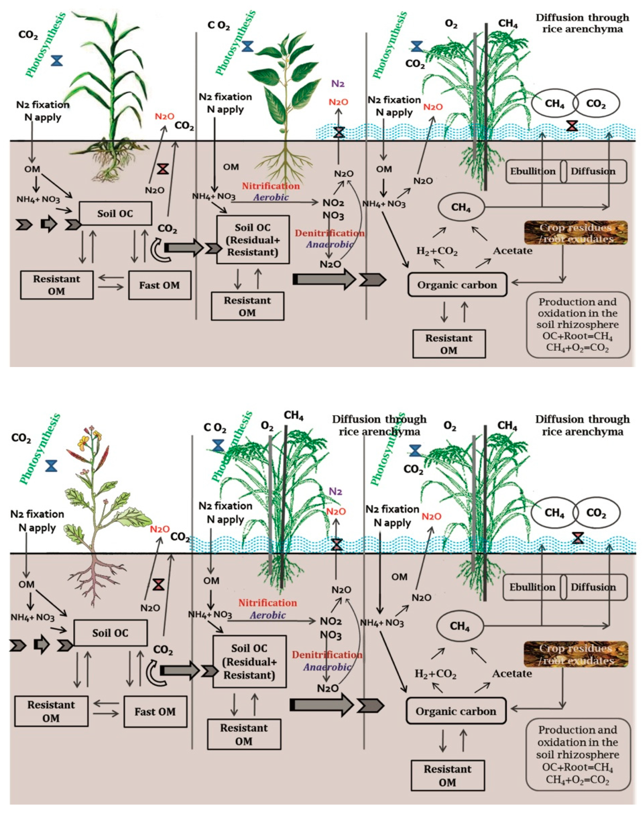 Agronomy 10 00888 g001 Agronomy 10 00888 g001