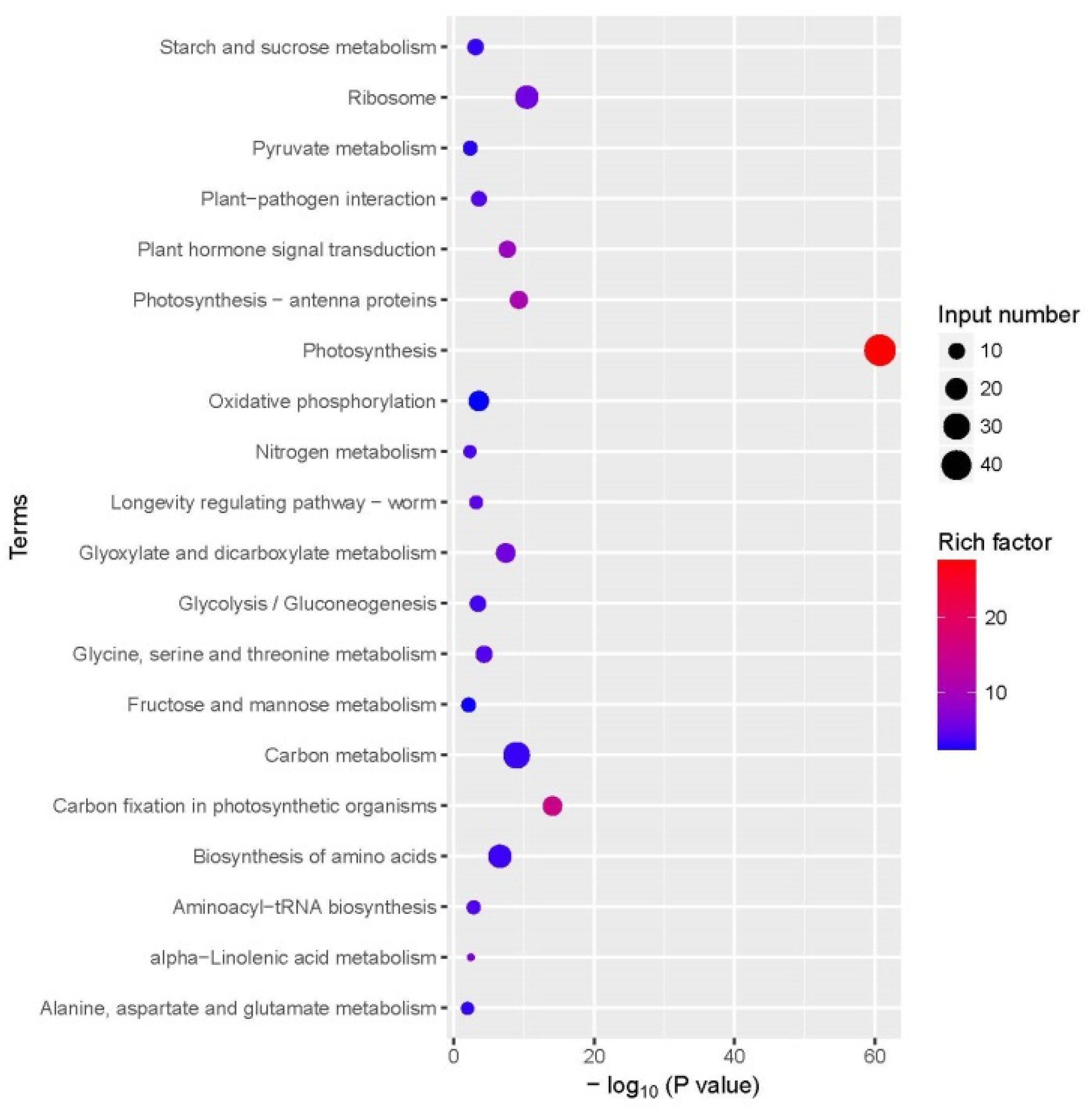 Agronomy 10 00915 g004