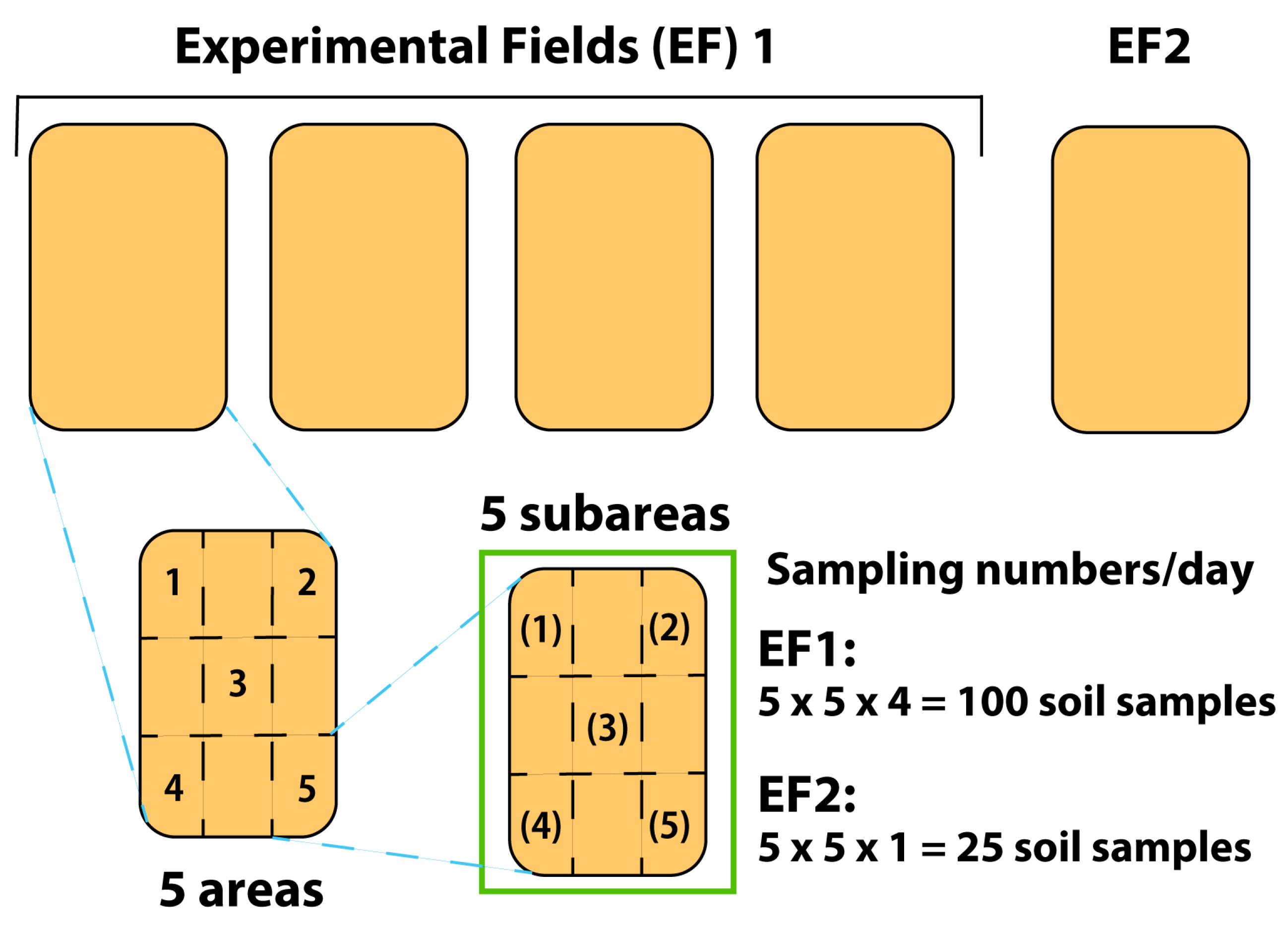 Agronomy 10 00929 g001