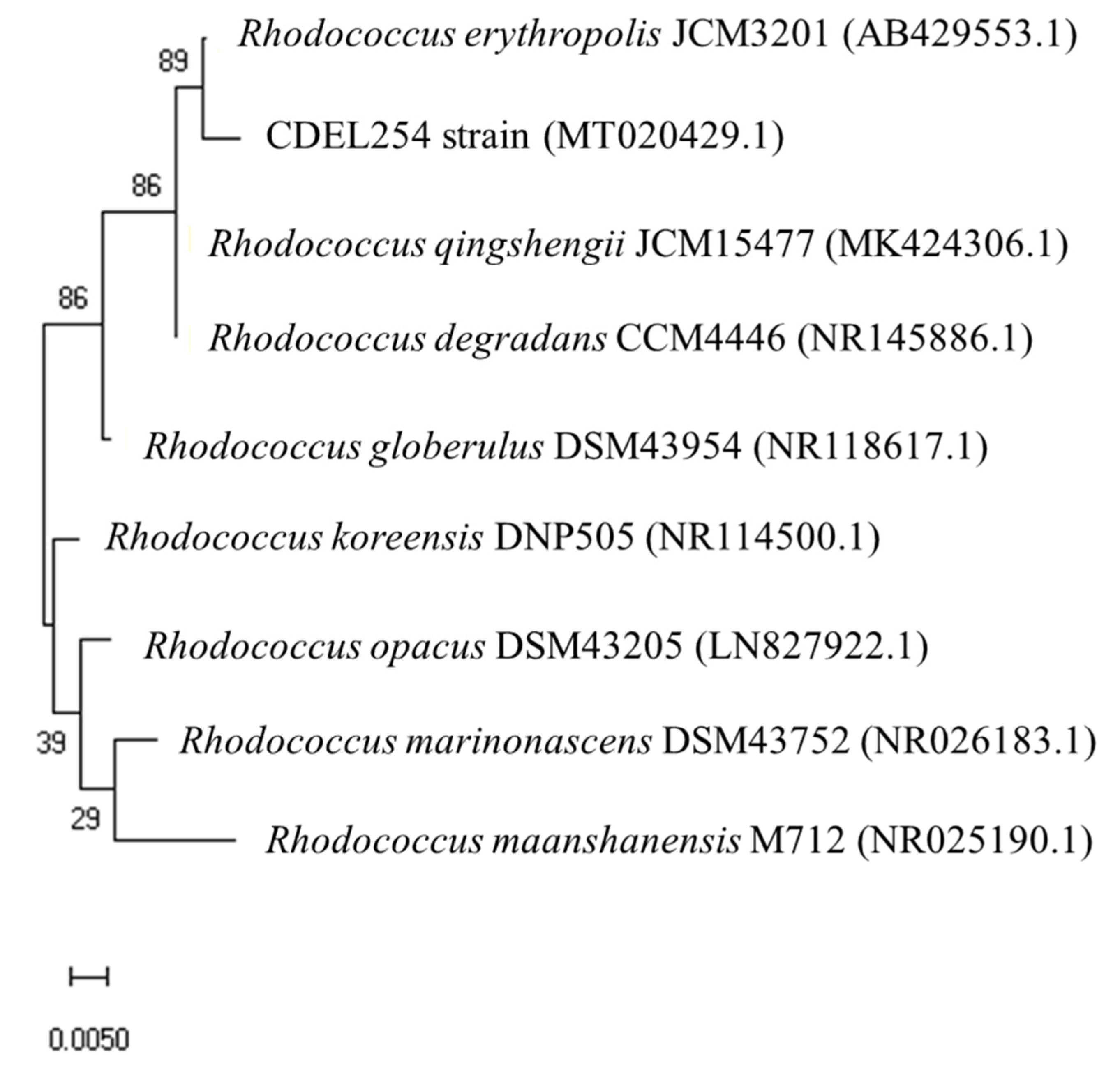 Agronomy 10 00947 g001