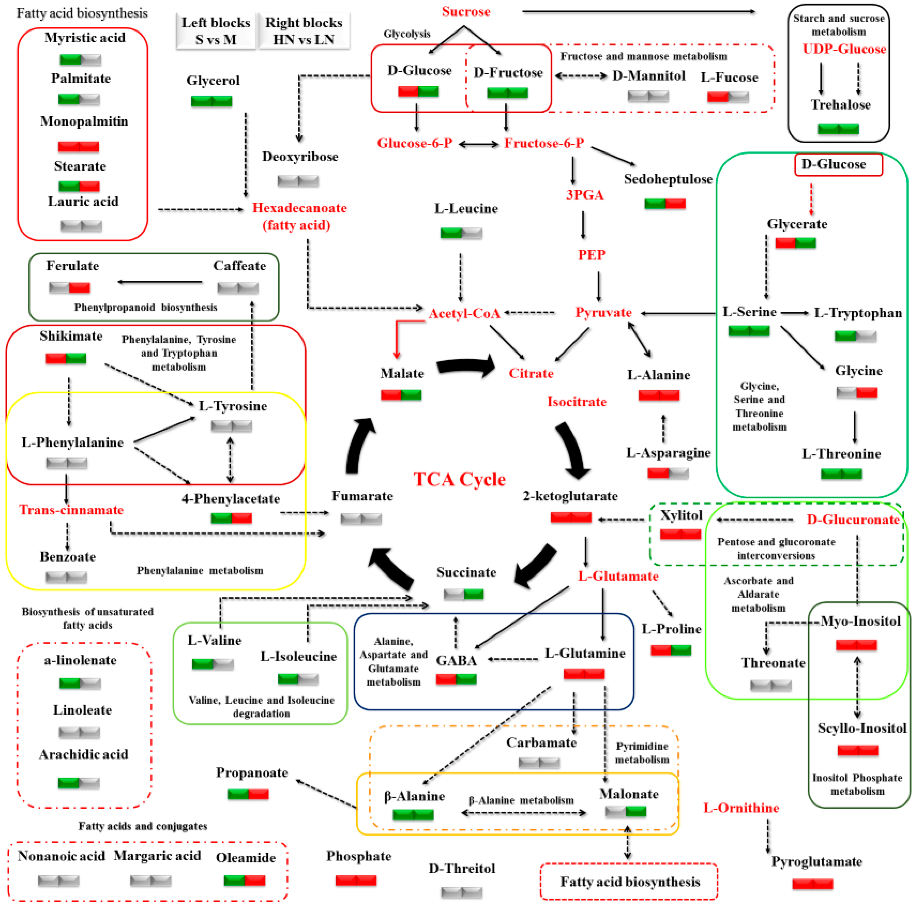 Agronomy 10 00952 g006