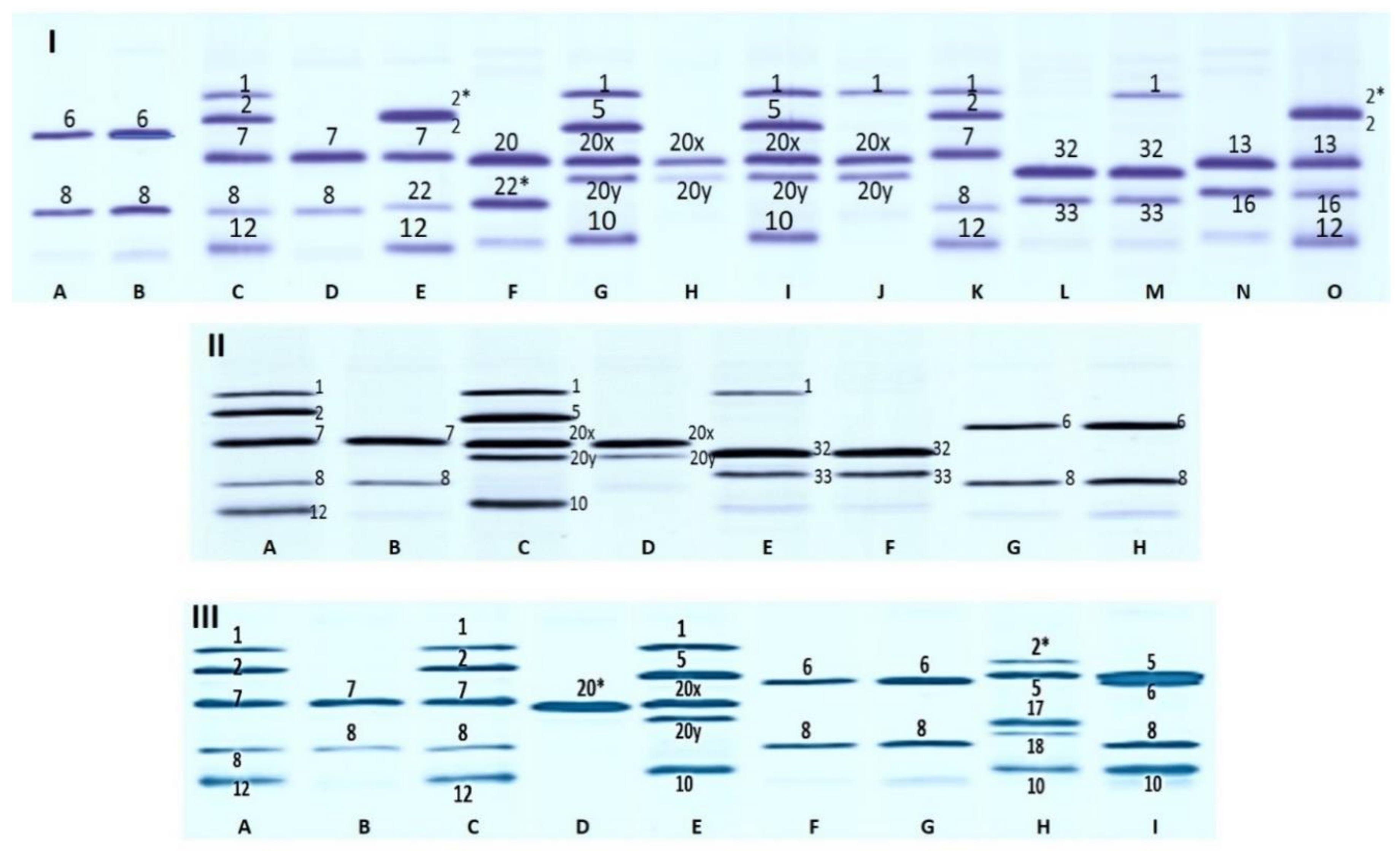 Agronomy 10 00957 g001