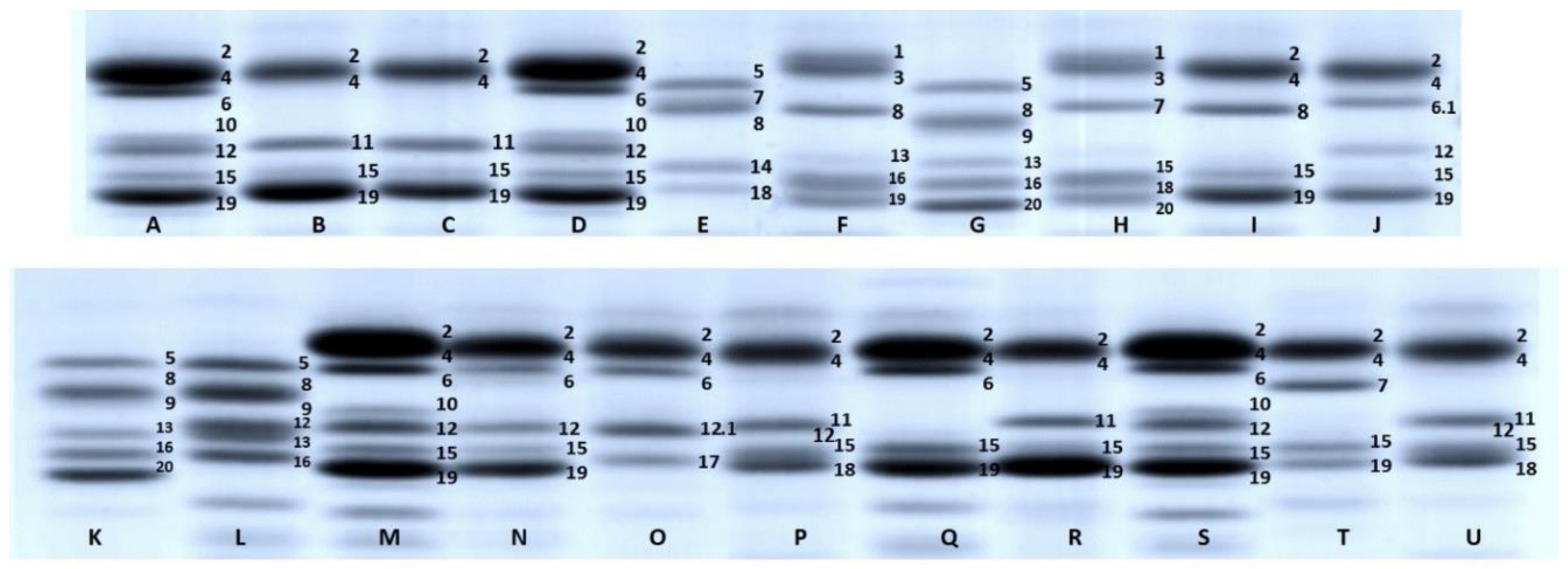 Agronomy 10 00957 g002
