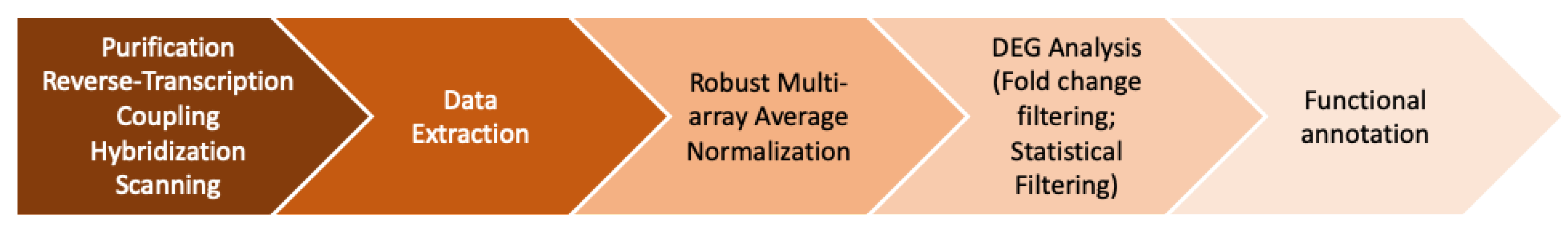 Agronomy 10 00960 g002