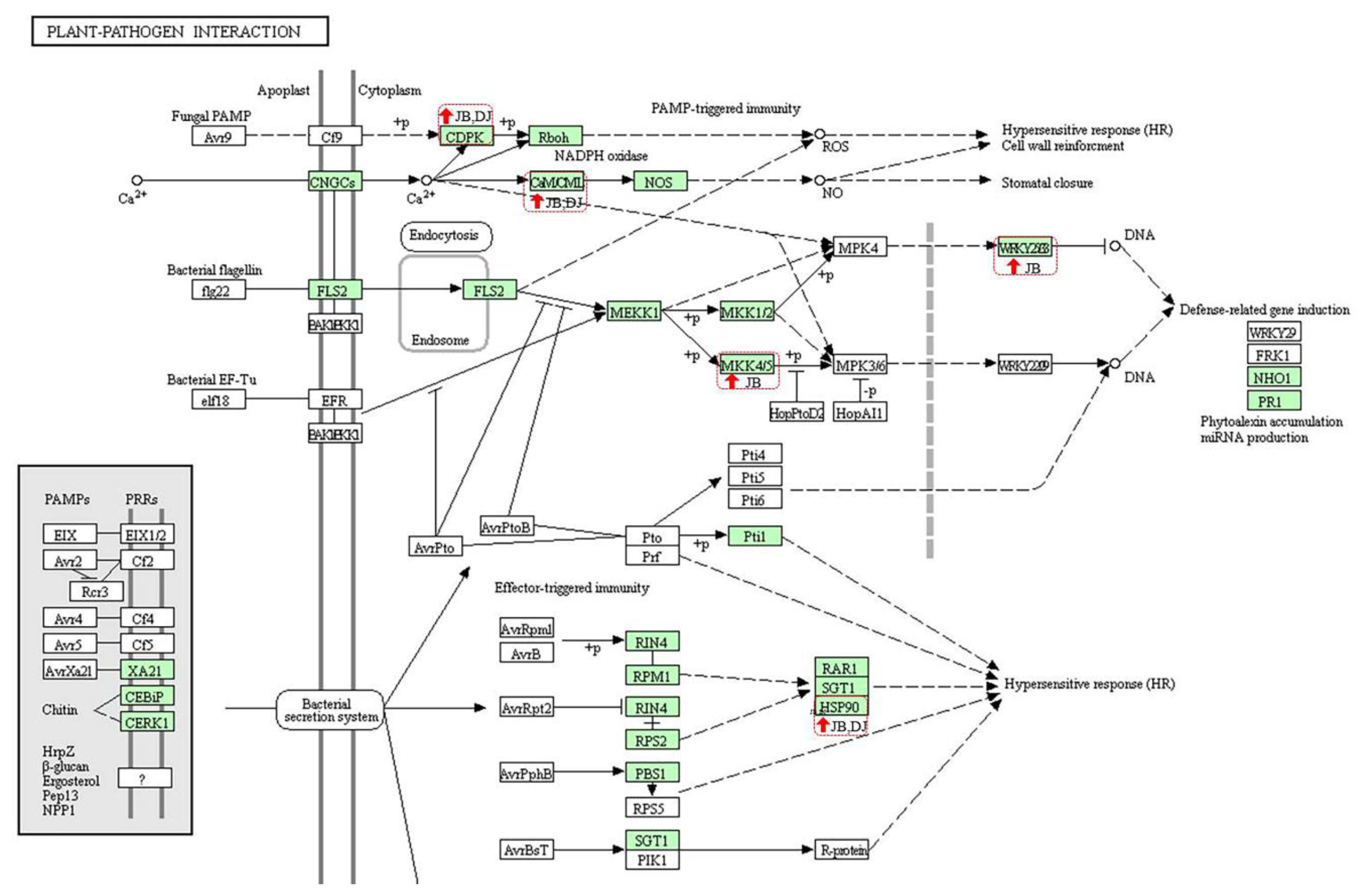 Agronomy 10 00960 g005