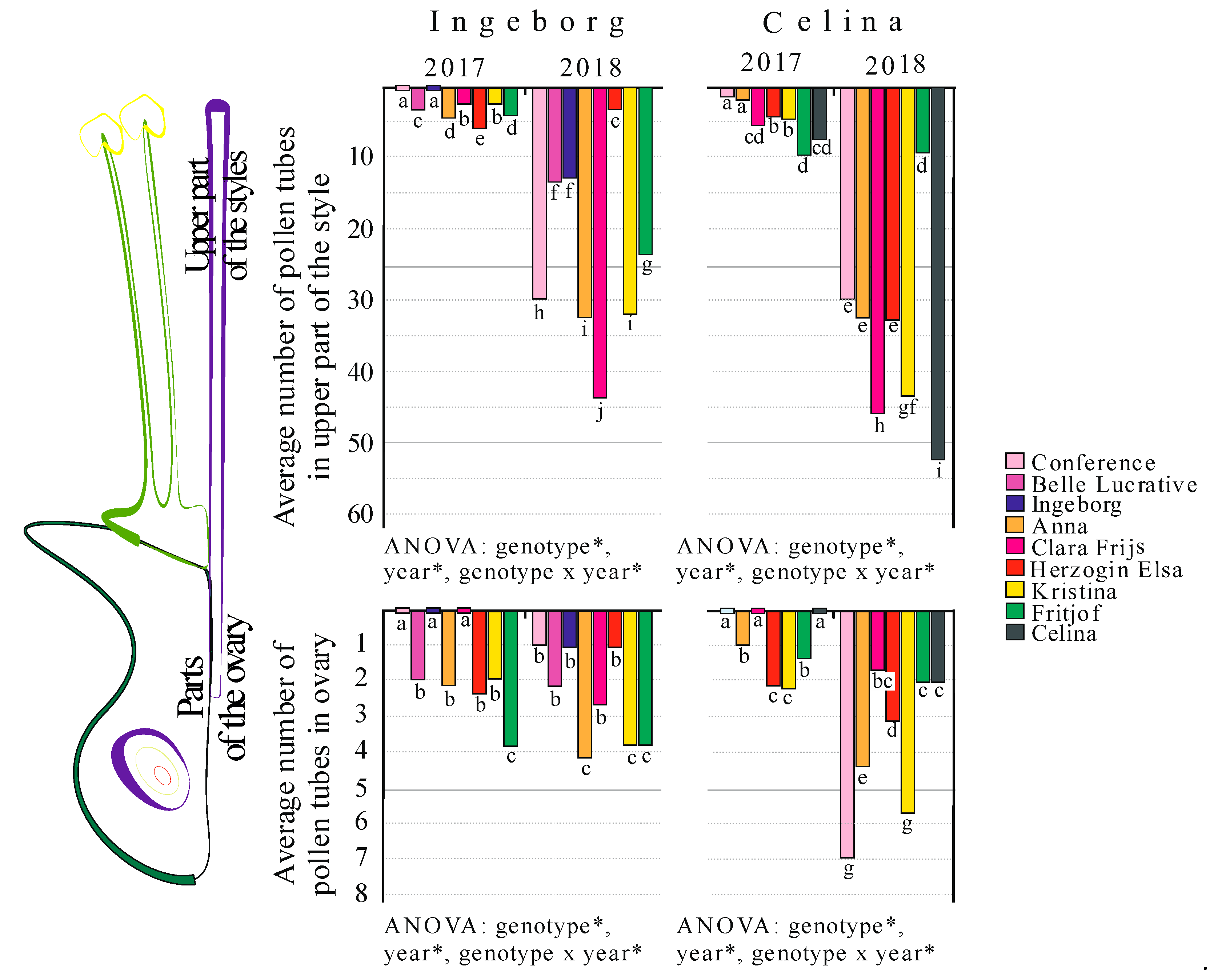 Agronomy 10 00970 g005