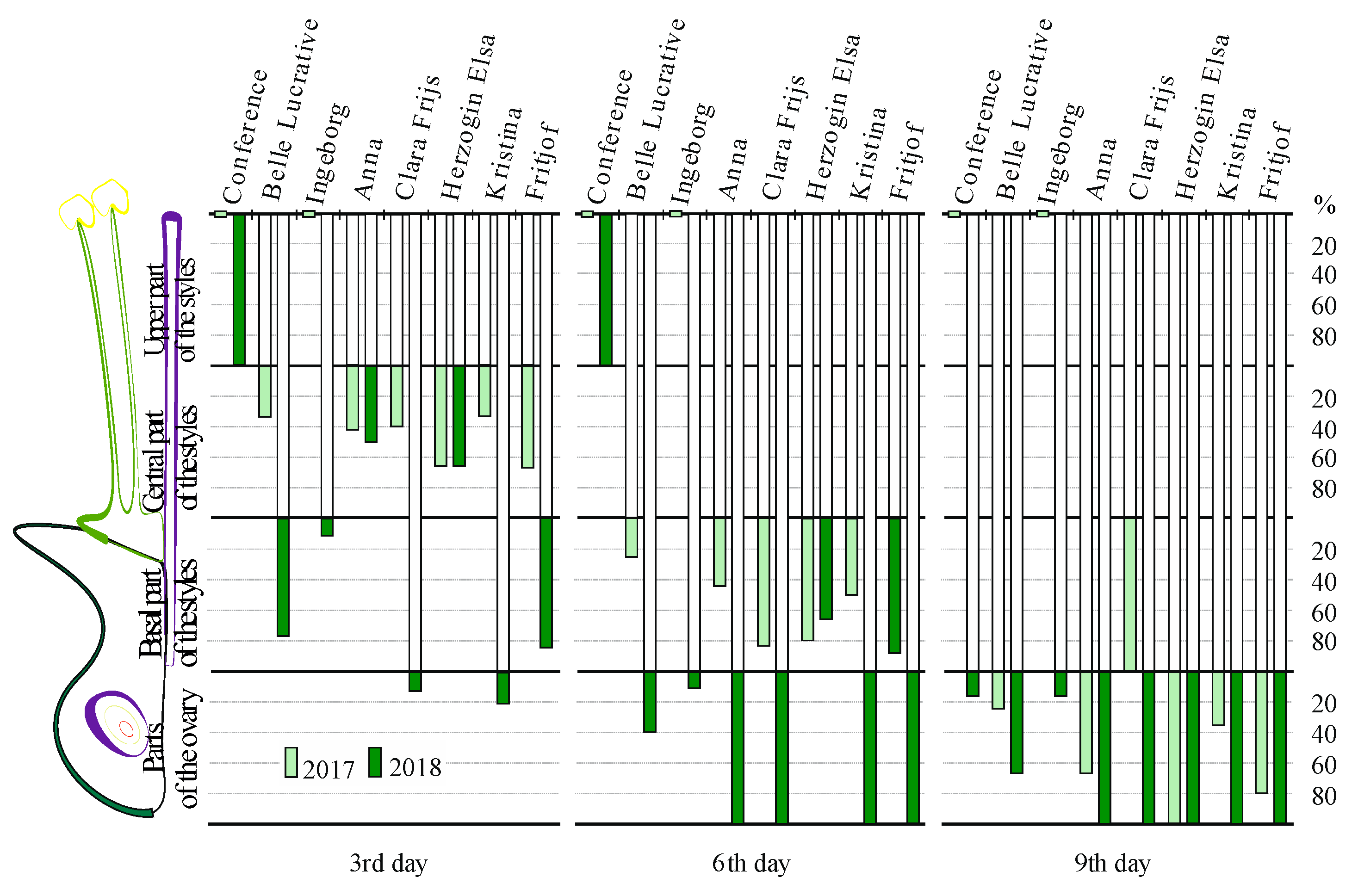 Agronomy 10 00970 g006