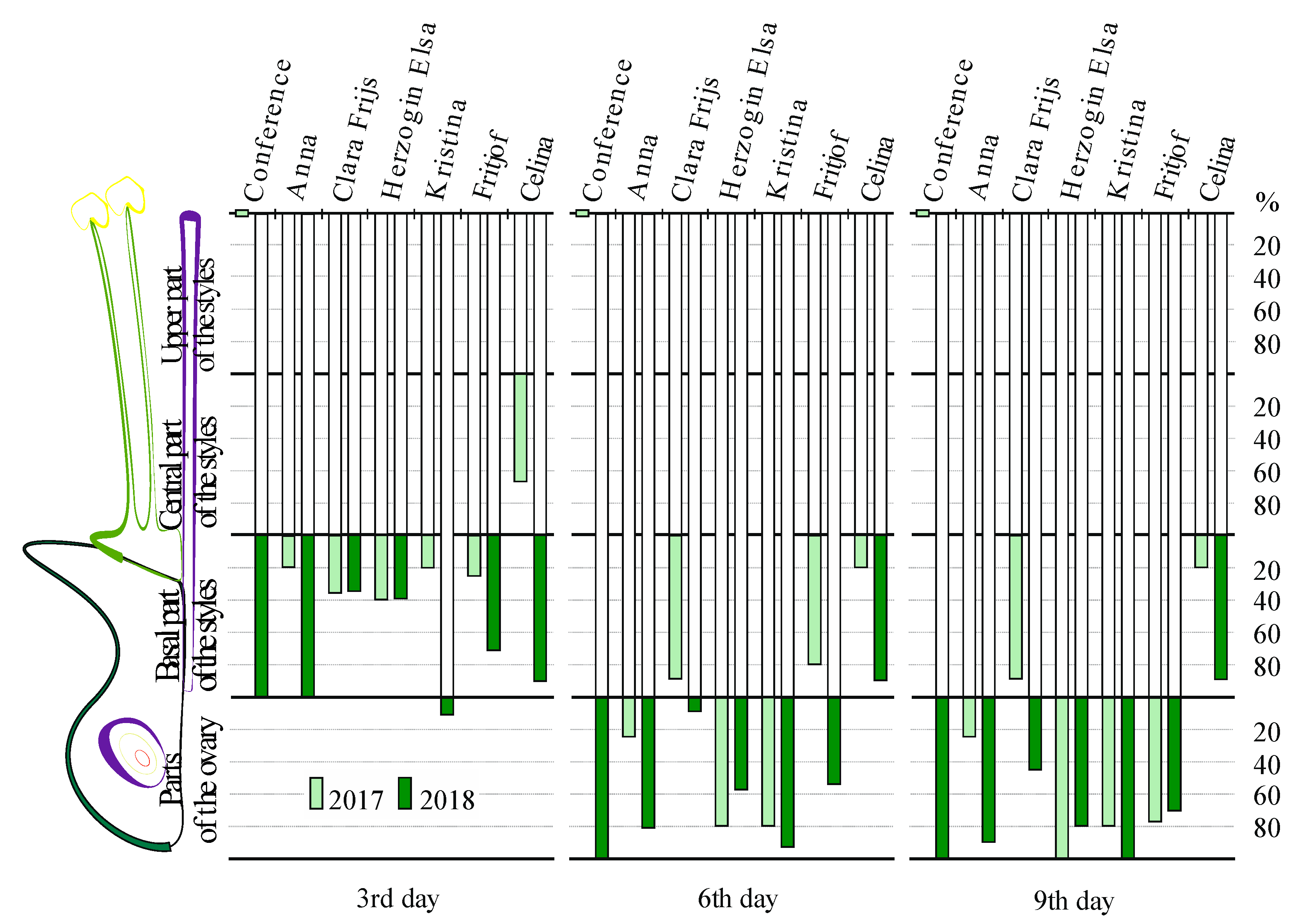 Agronomy 10 00970 g007