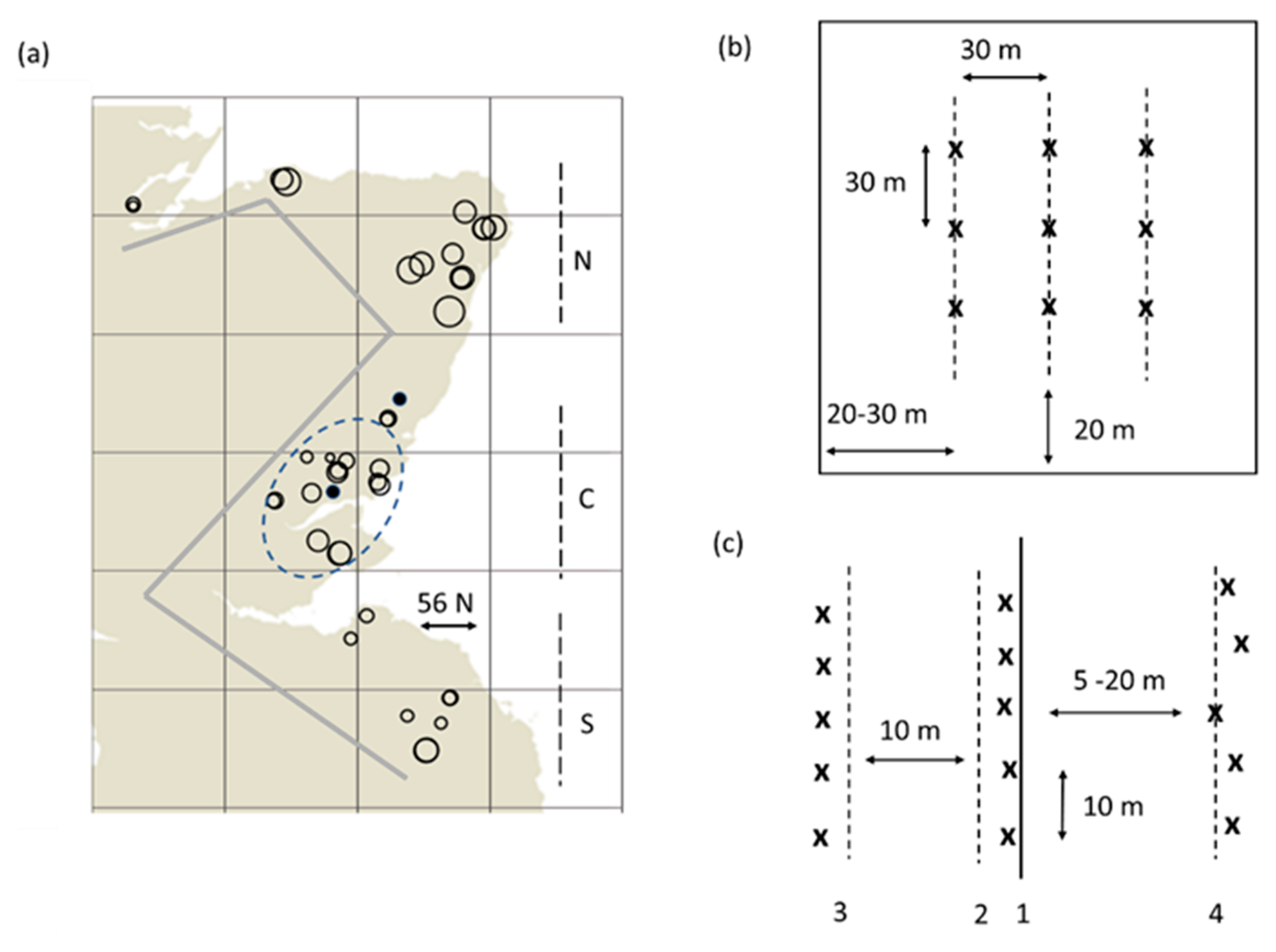 Agronomy 10 00973 g001