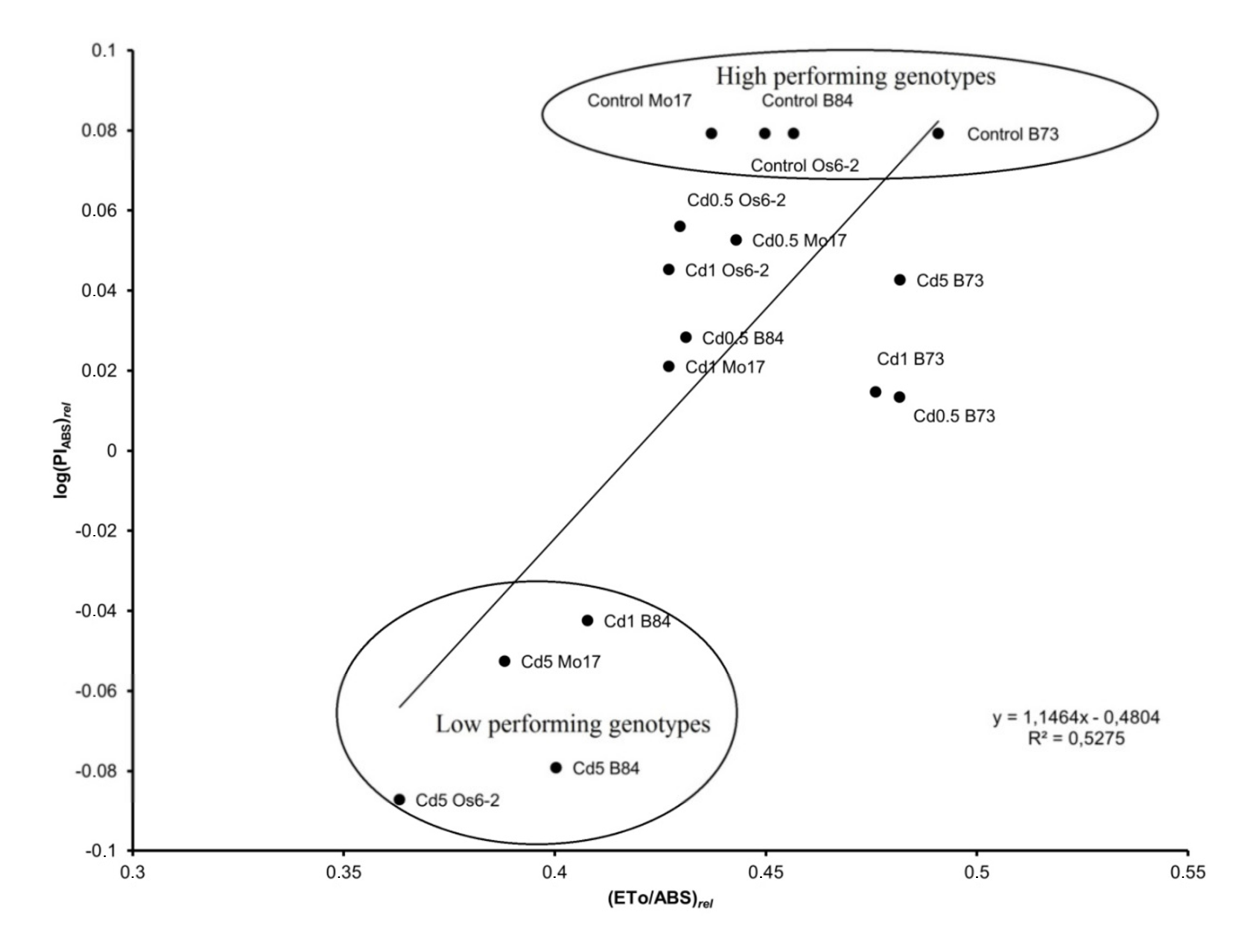 Agronomy 10 00986 g004