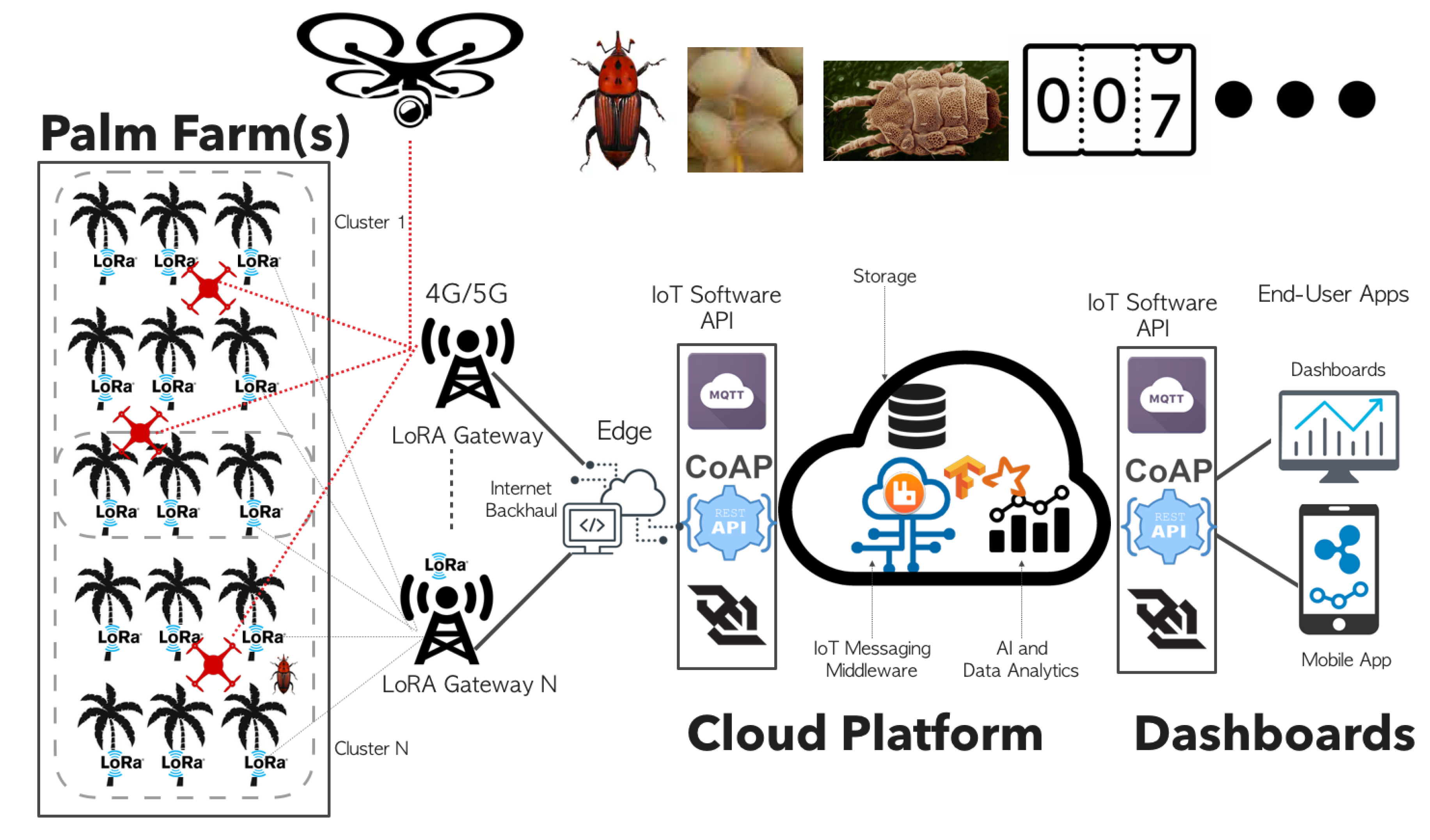 Agronomy 10 00987 g001