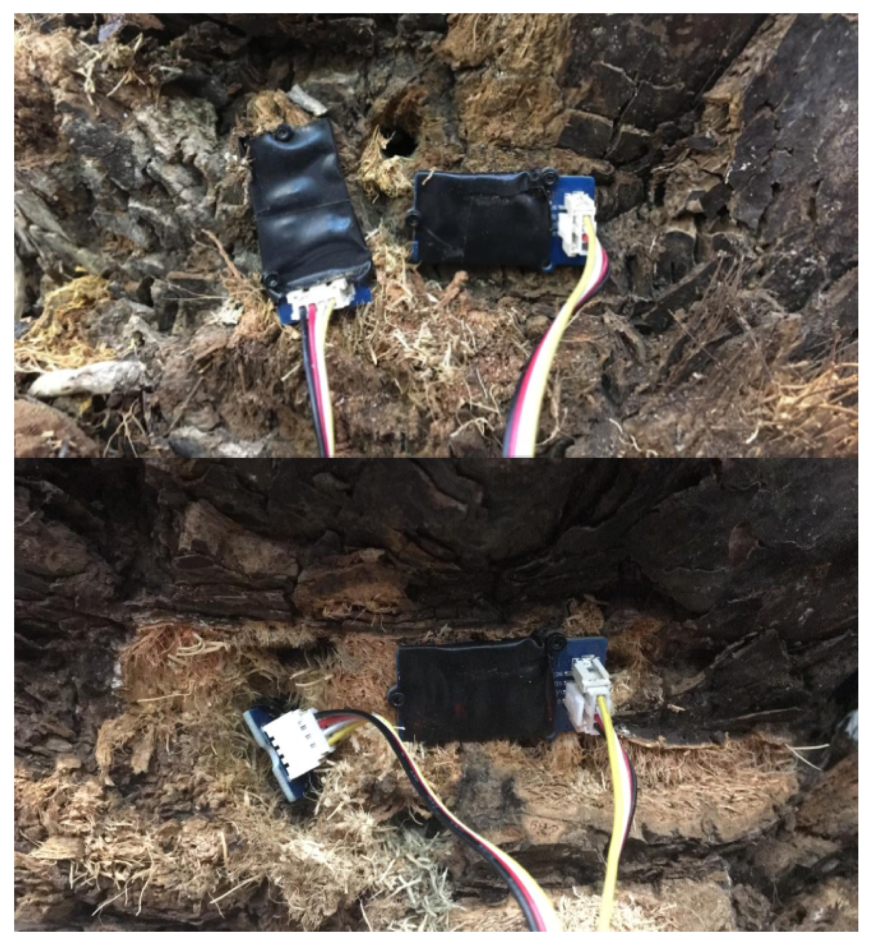 Agronomy 10 00987 g006