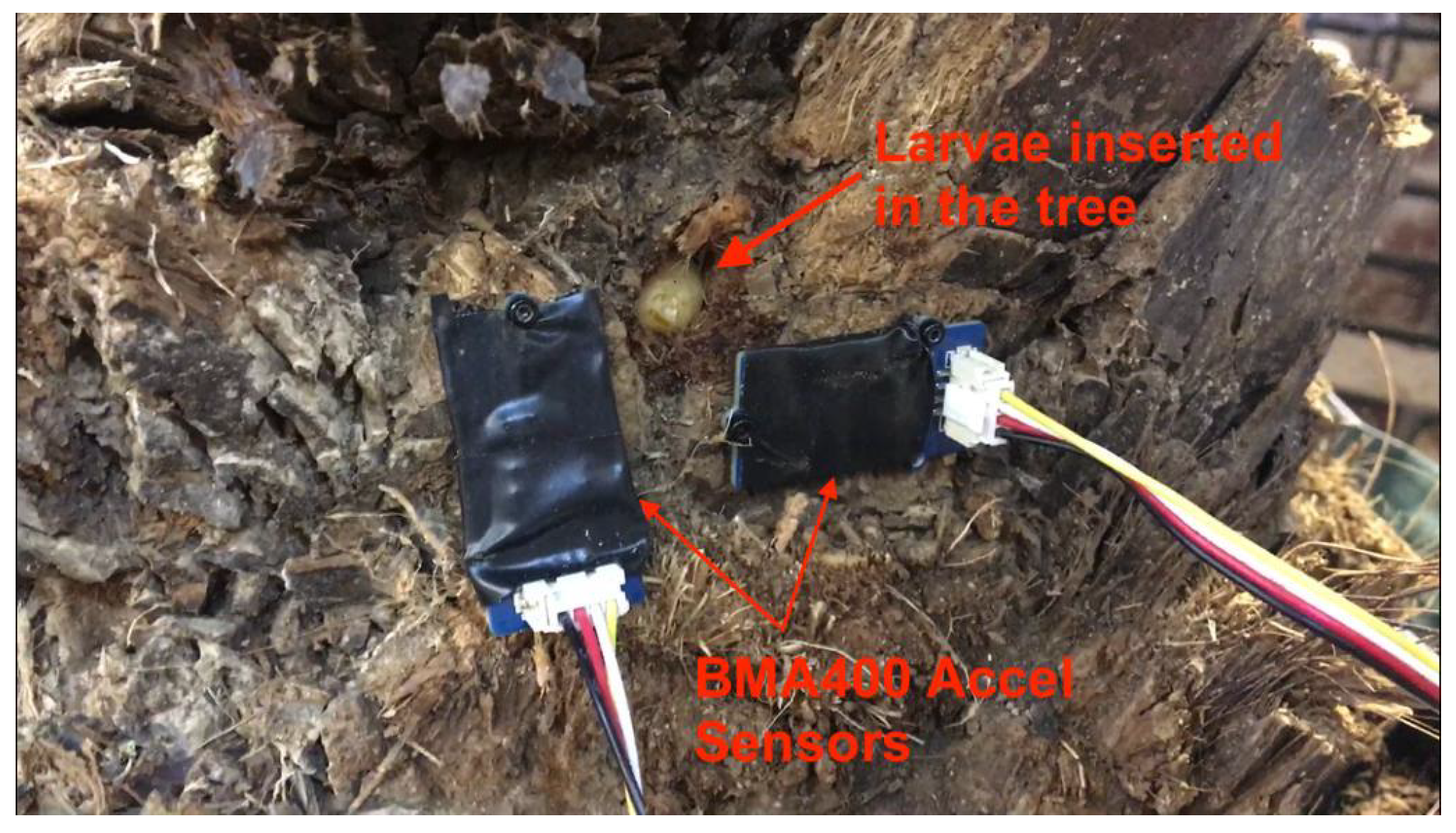 Agronomy 10 00987 g007