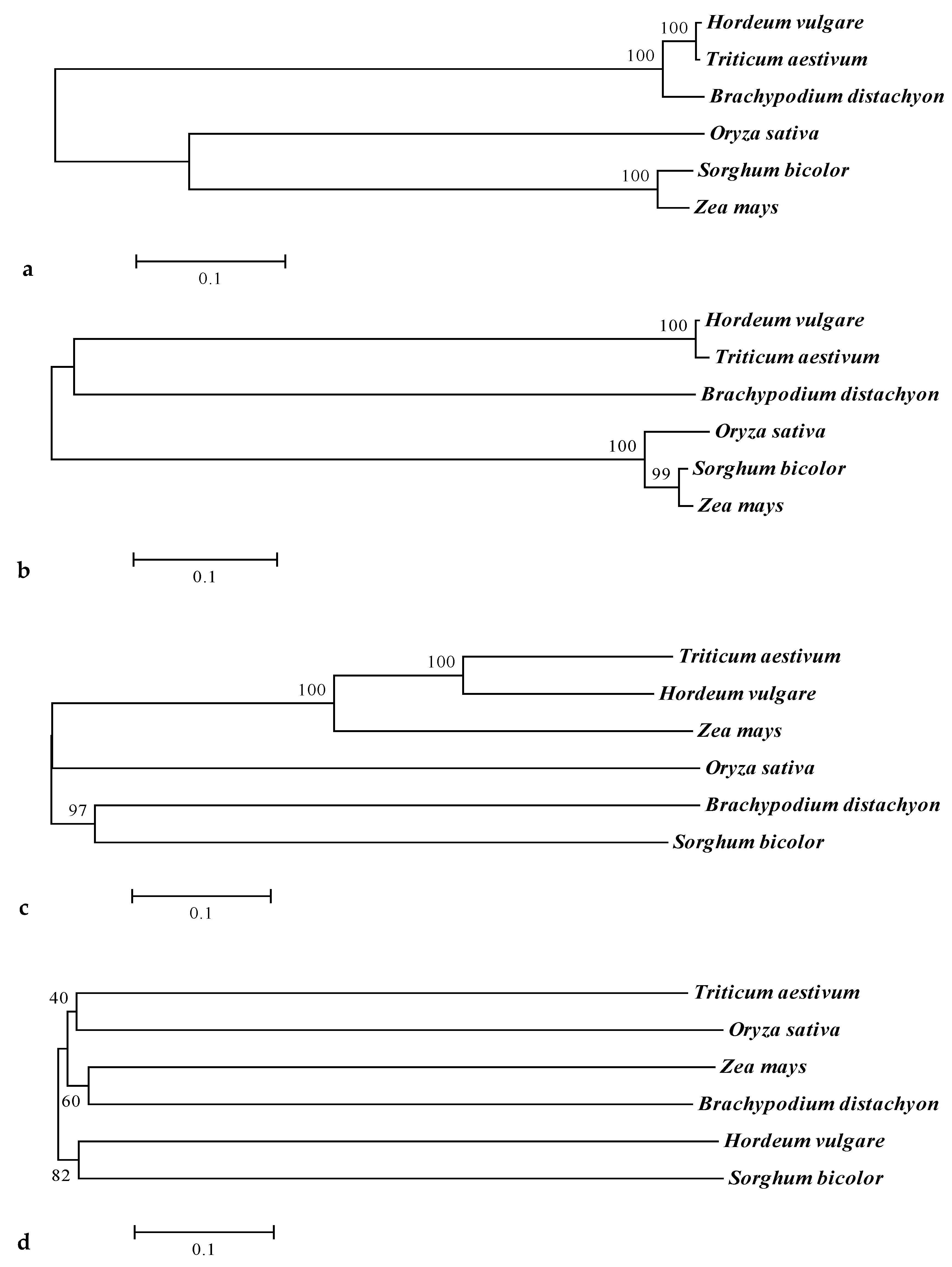Agronomy 10 01001 g008