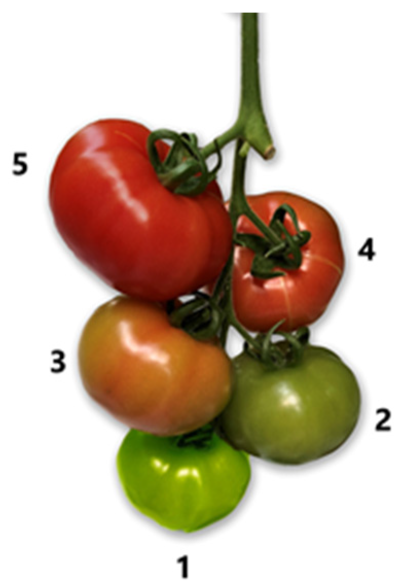 Agronomy 10 01002 g002 Agronomy 10 01002 g002