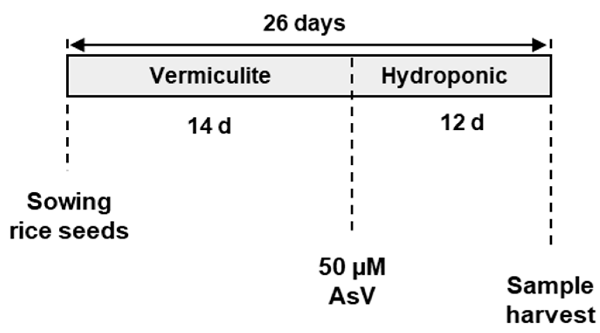Agronomy 10 01014 g001 Agronomy 10 01014 g001