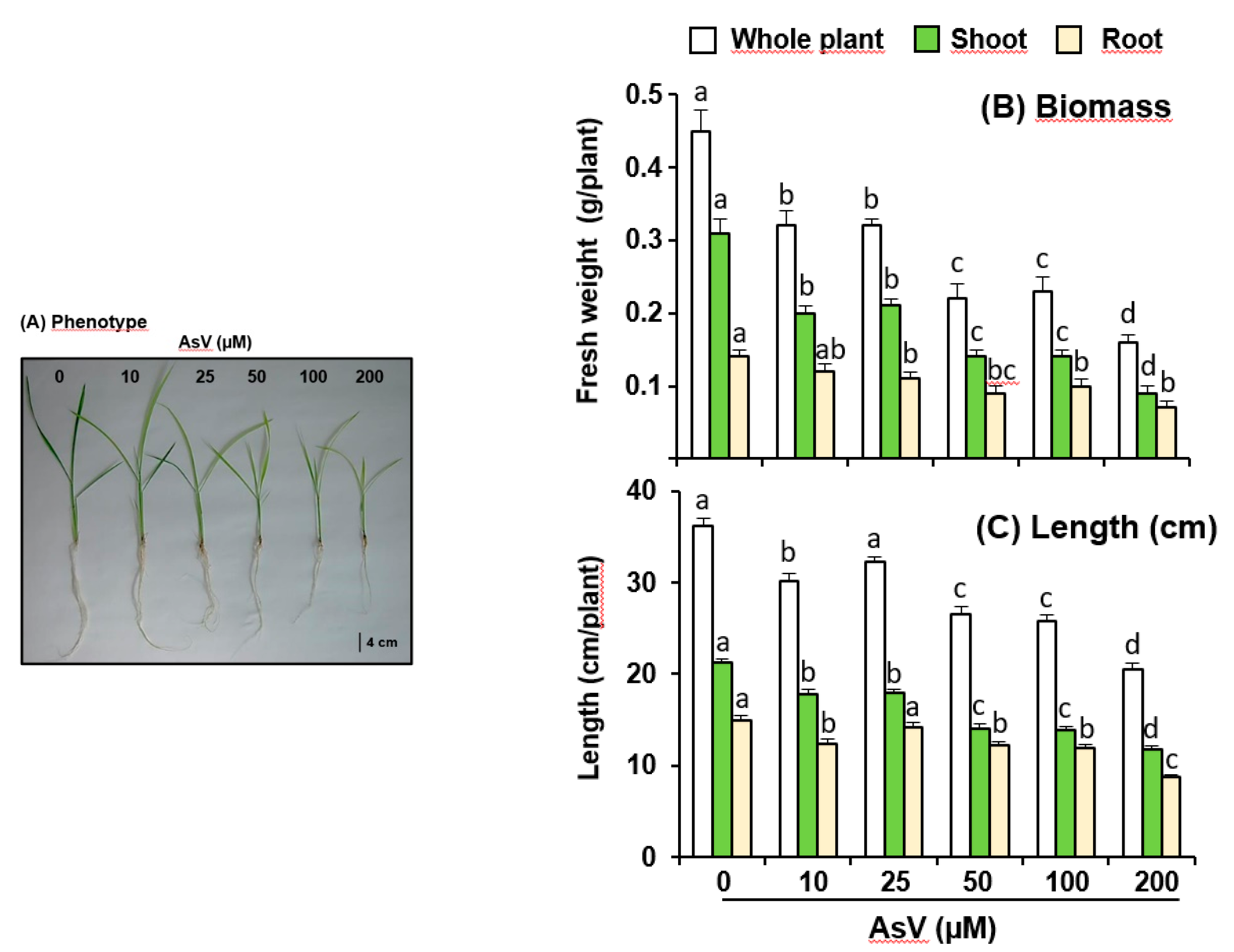 Agronomy 10 01014 g002 Agronomy 10 01014 g002