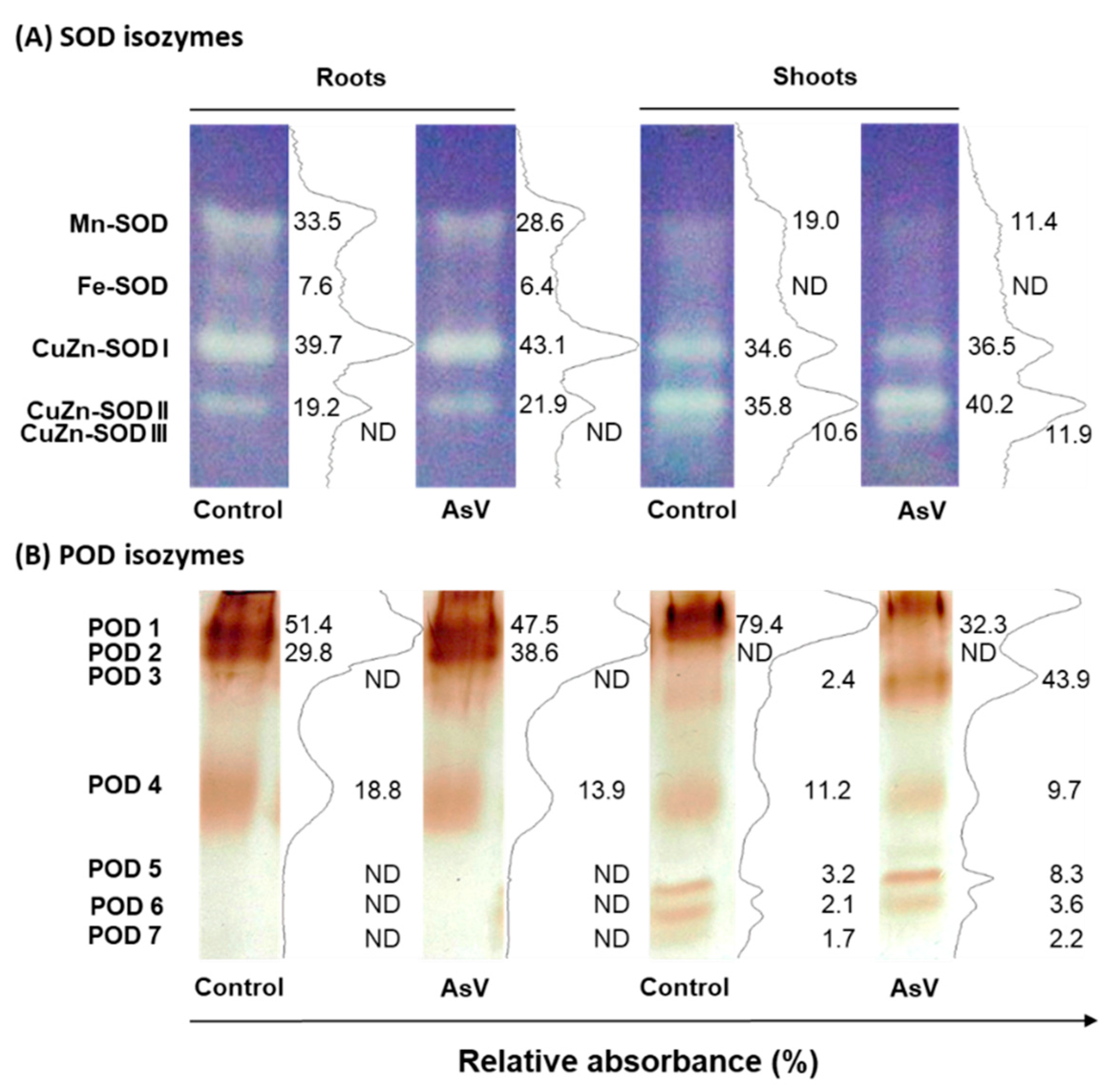 Agronomy 10 01014 g006 Agronomy 10 01014 g006
