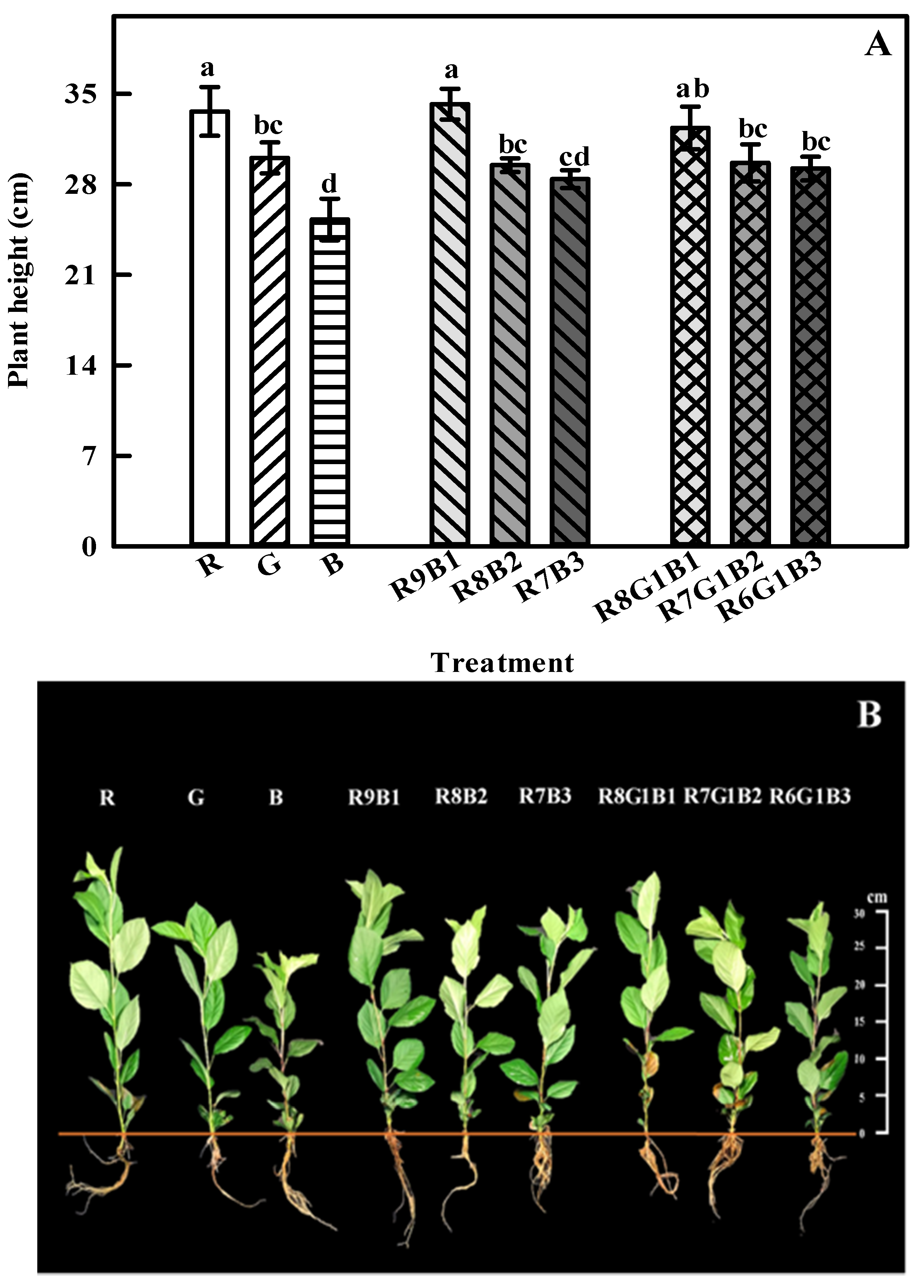 Agronomy 10 01017 g002 Agronomy 10 01017 g002