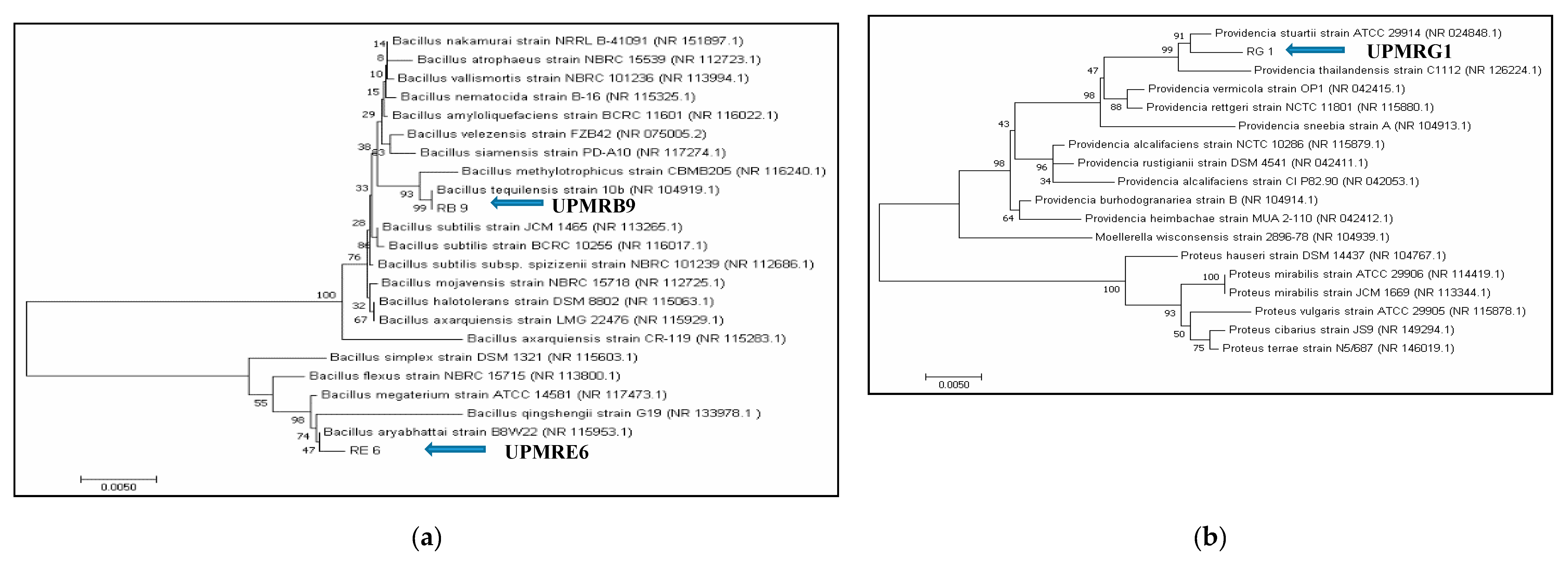Agronomy 10 01030 g001 Agronomy 10 01030 g001