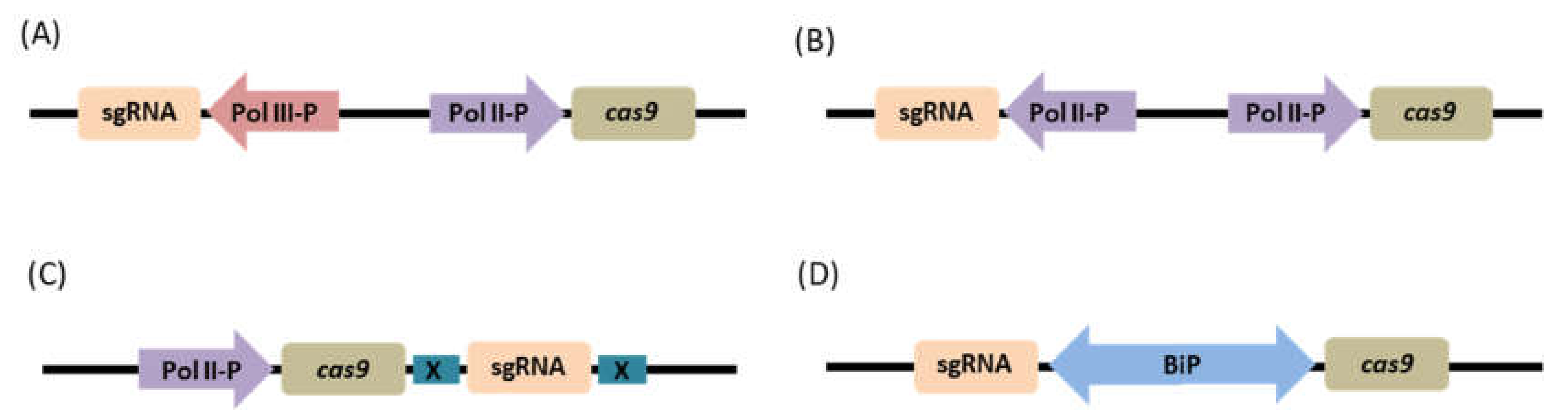 Agronomy 10 01033 g004